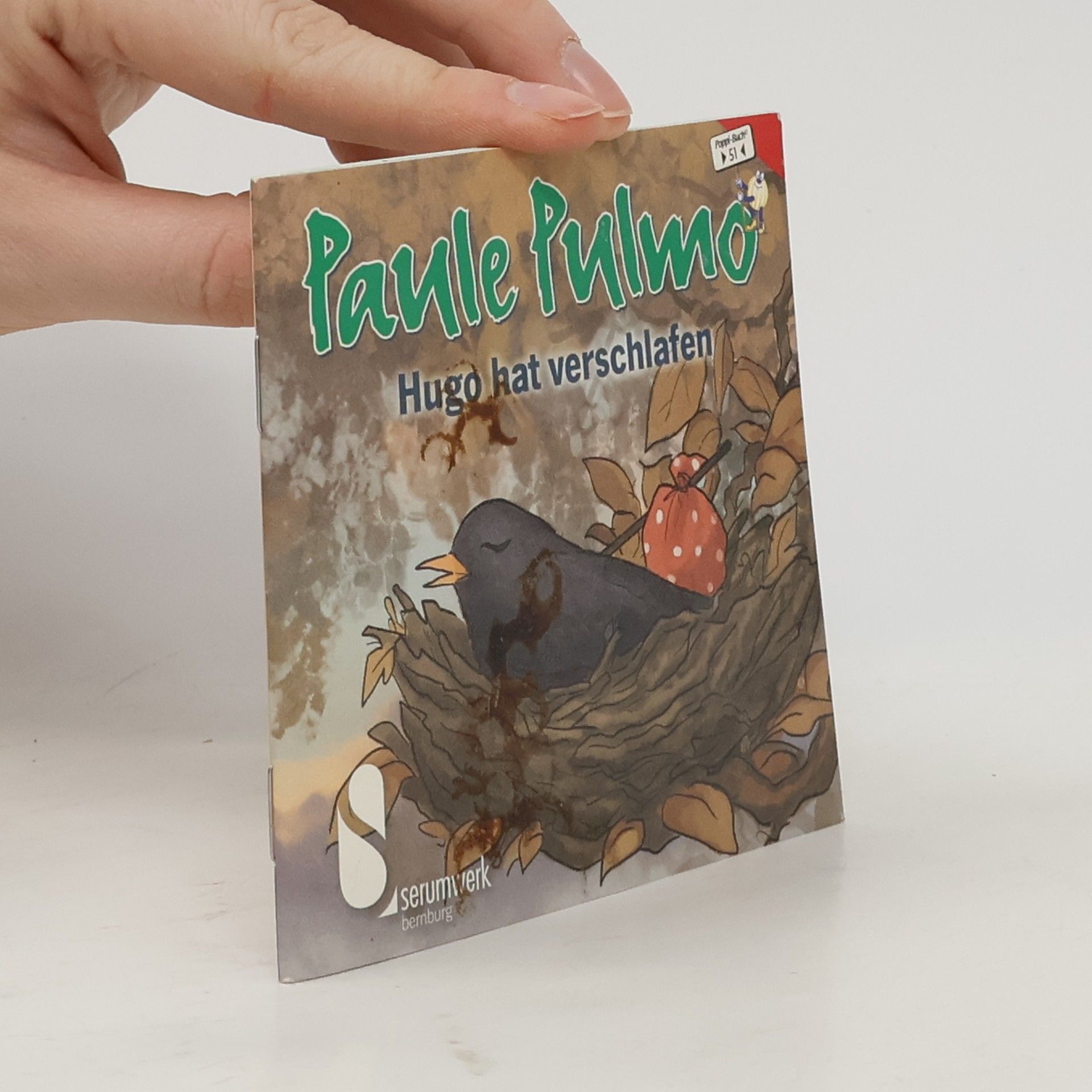 Anita Radipentz Paule Pulmo: Hugo hat verschlafen