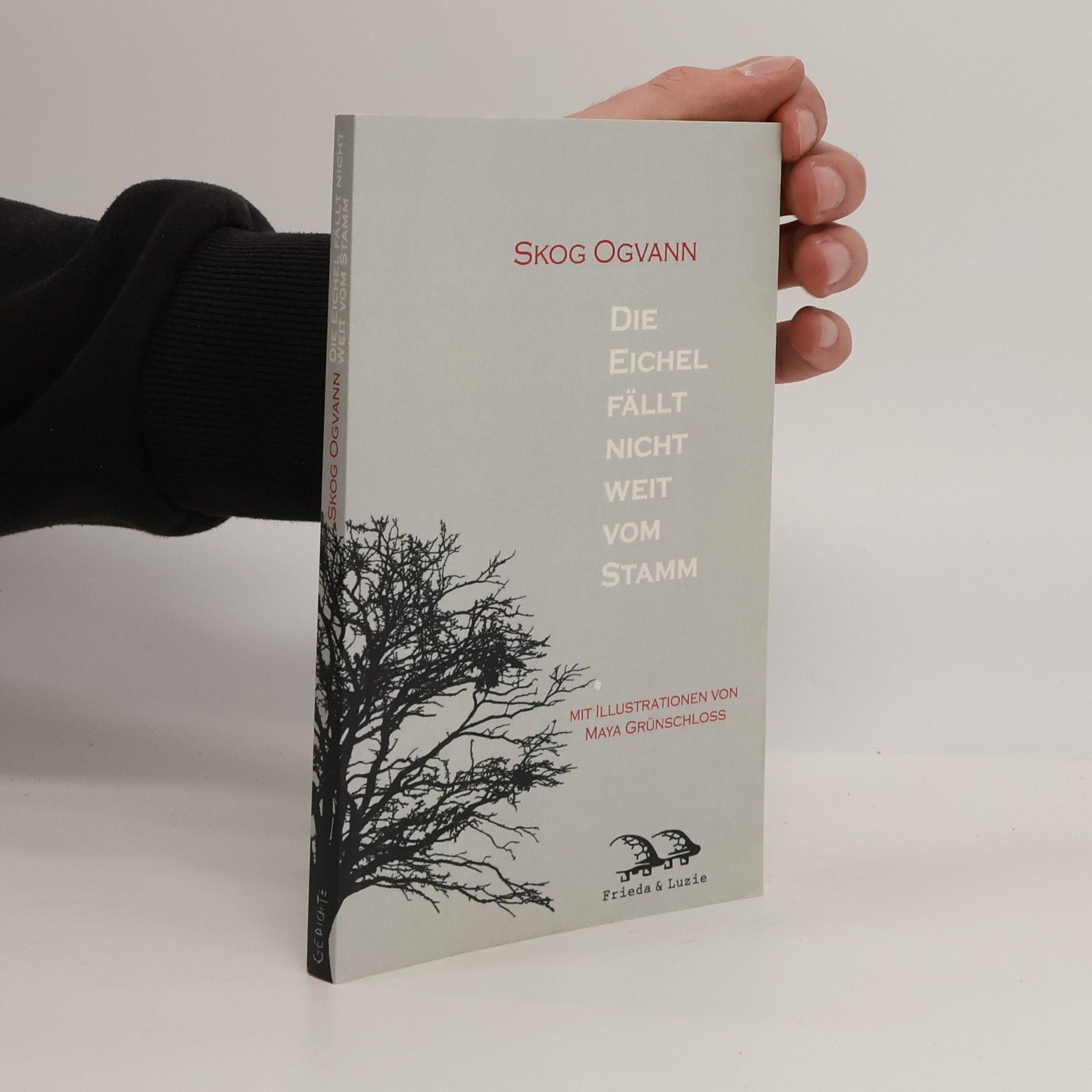 Skog Ogvann Die Eichel fällt nicht weit vom Stamm