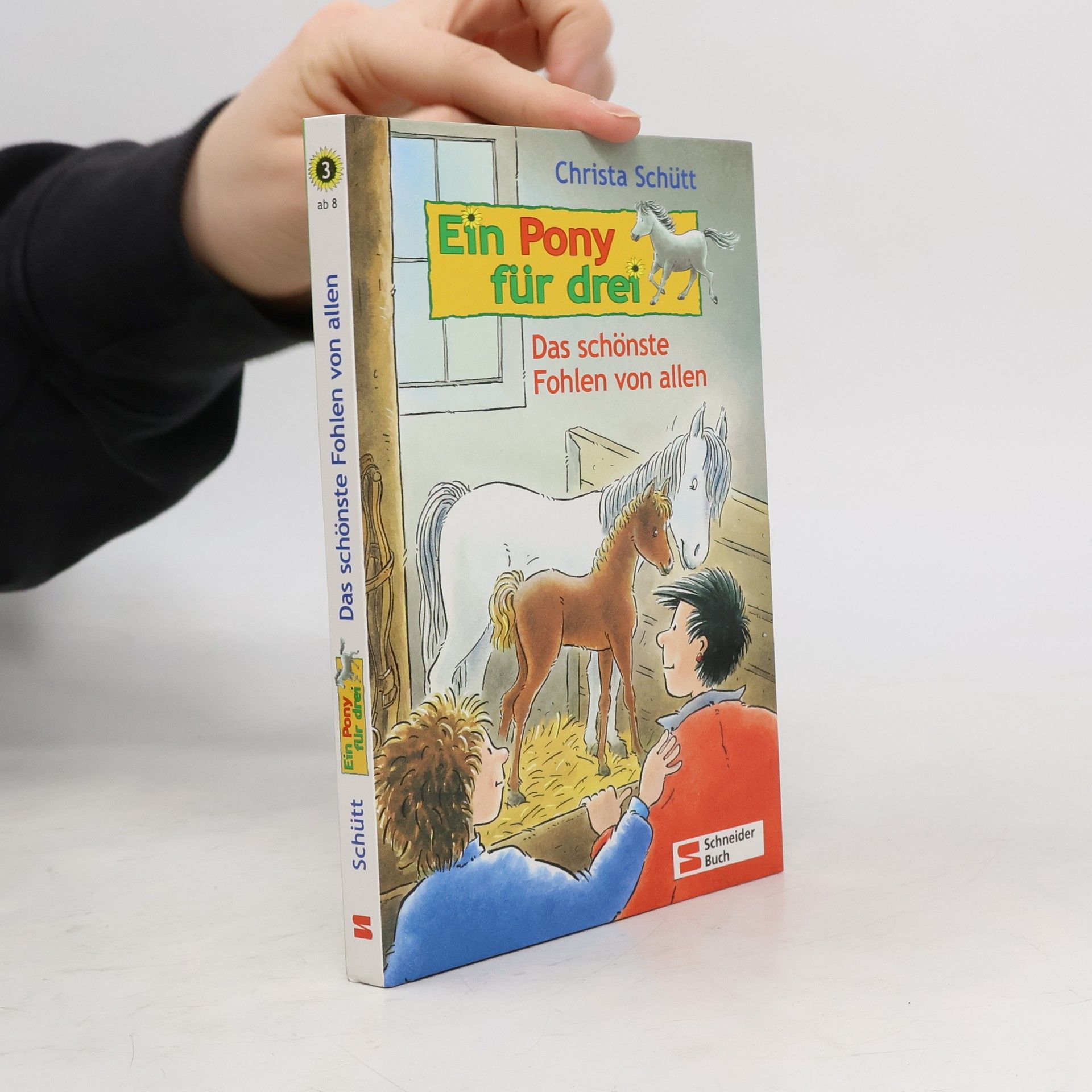 Christa Schütt Ein Pony für drei - 3: Das schönste Fohlen von allen
