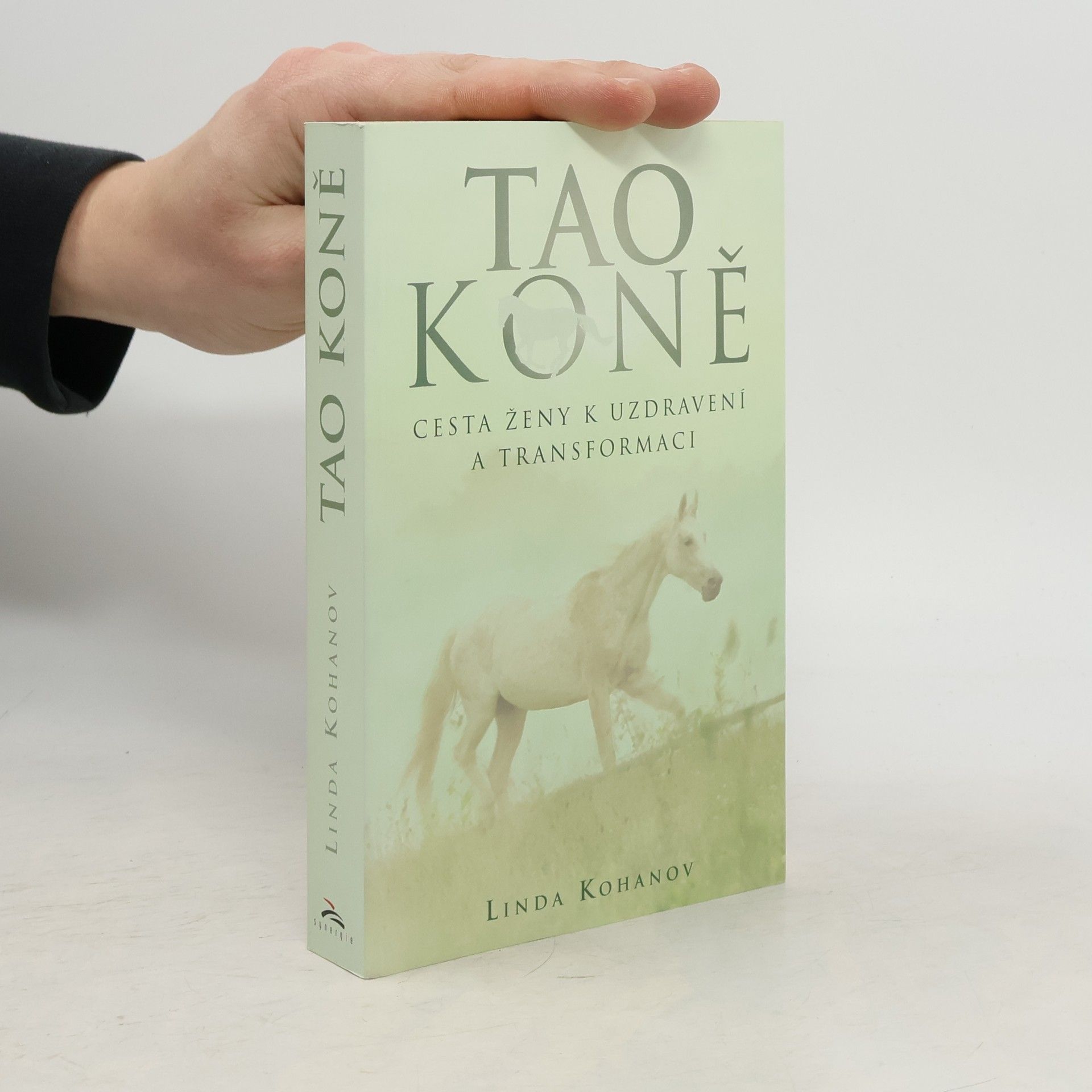 Linda Kohanov Tao koně