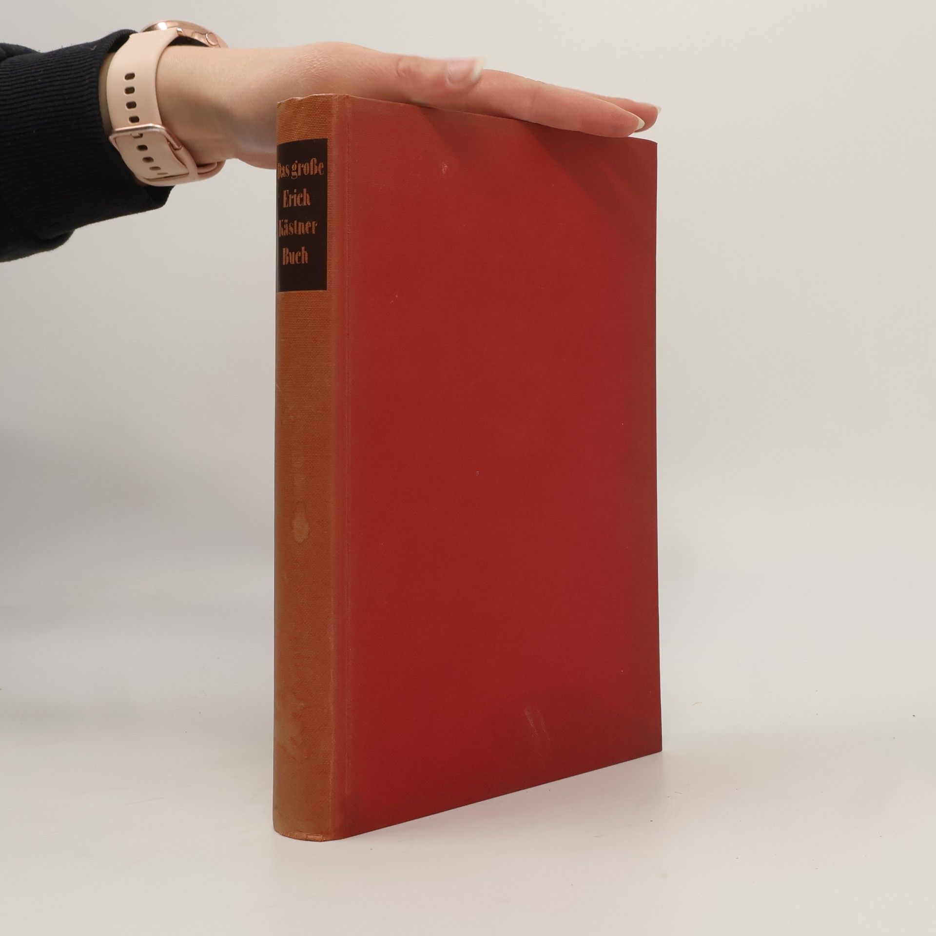 Erich Kästner Das grosse Erich Kästner Buch