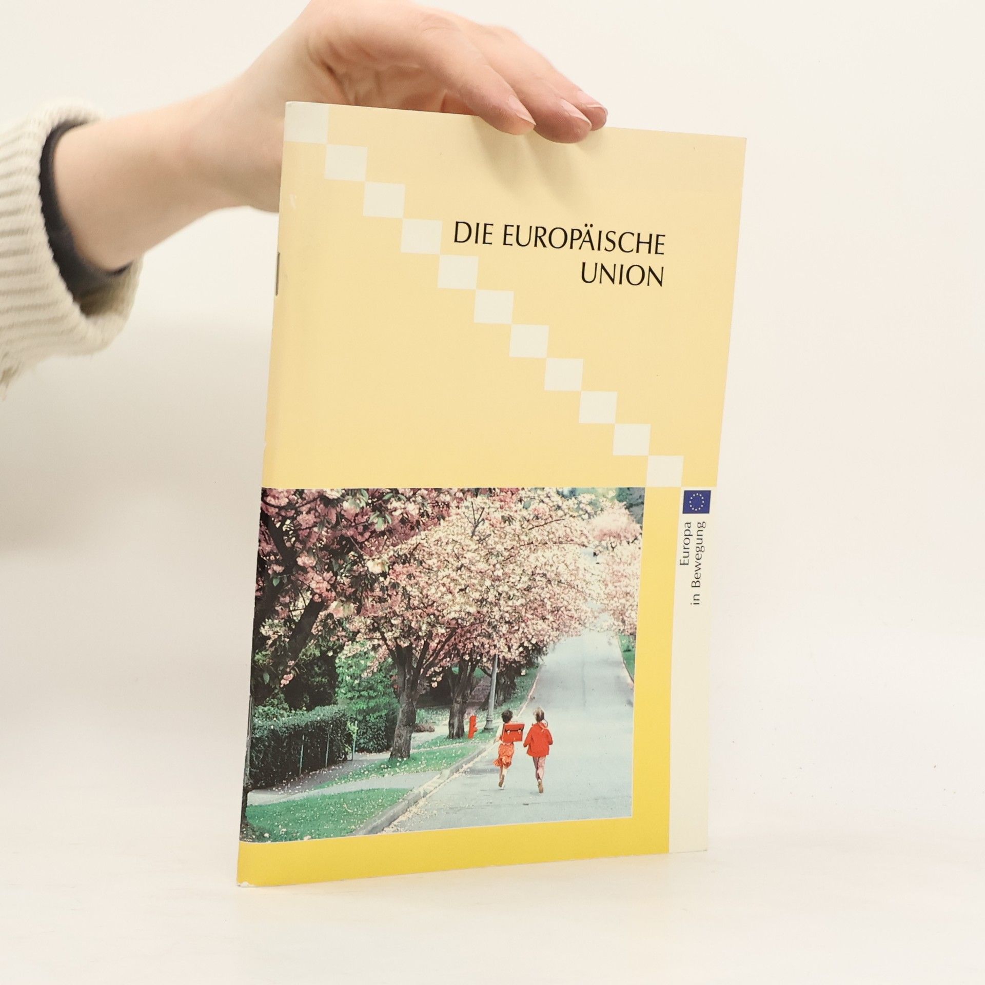 Autorenkollektiv Die Europäische Union