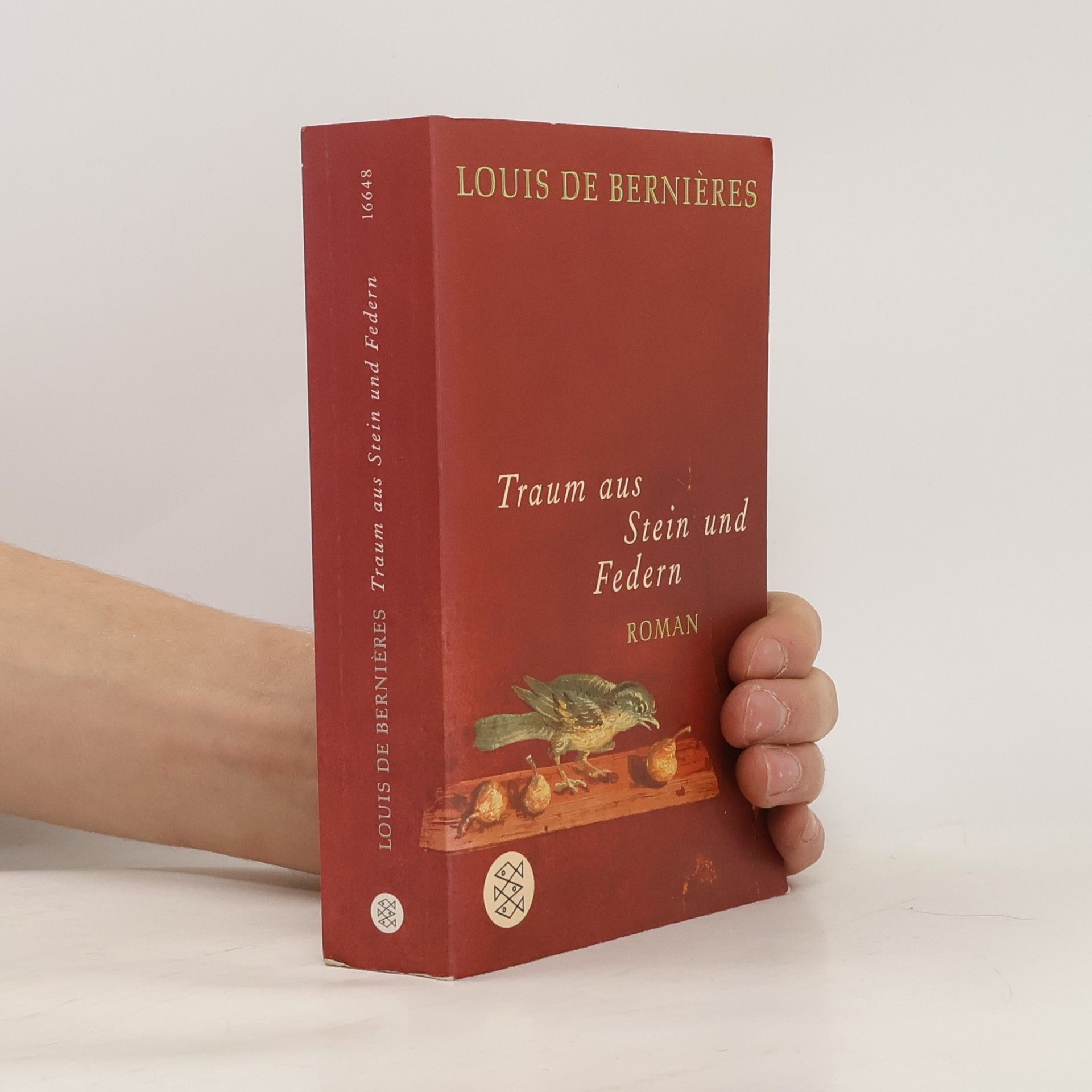 Louis de Bernières Traum aus Stein und Federn