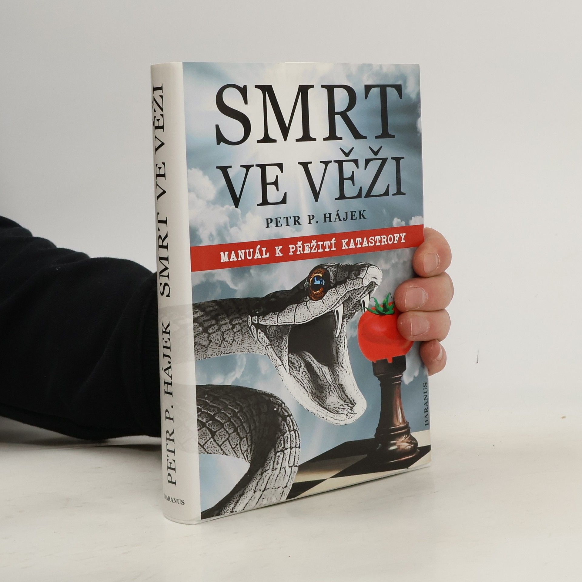 Petr Hájek Smrt ve věži : manuál k přežití katastrofy