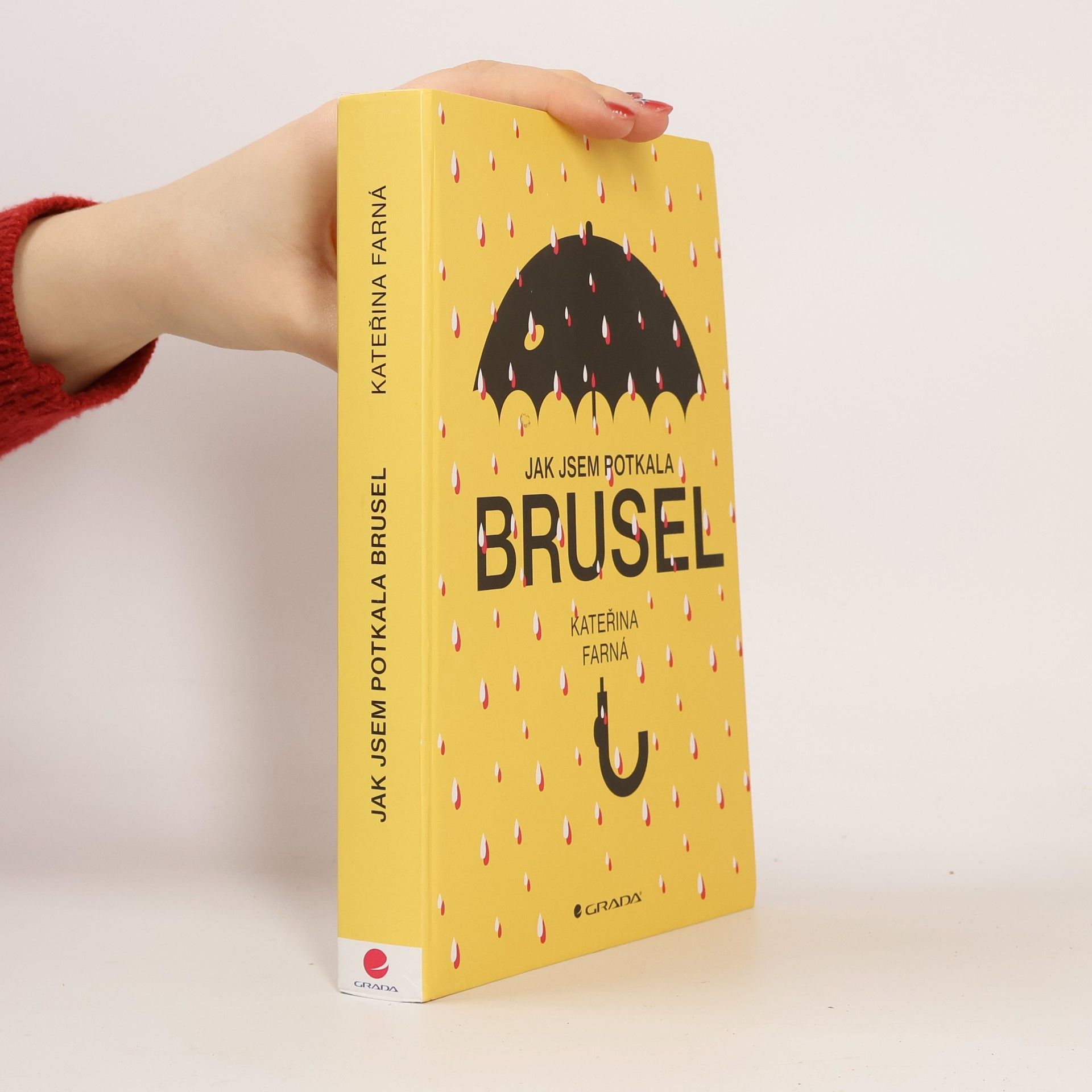 Kateřina Farná Jak jsem potkala Brusel