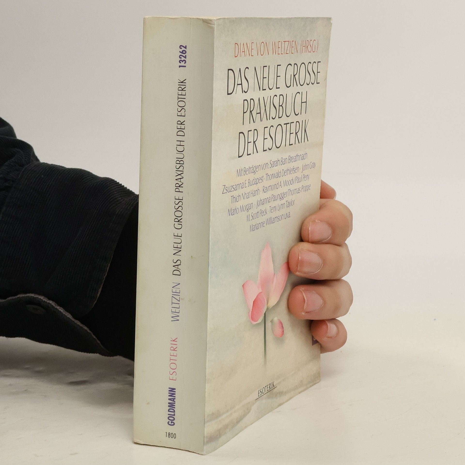 Diane von Weltzien Das neue grosse Praxisbuch der Esoterik