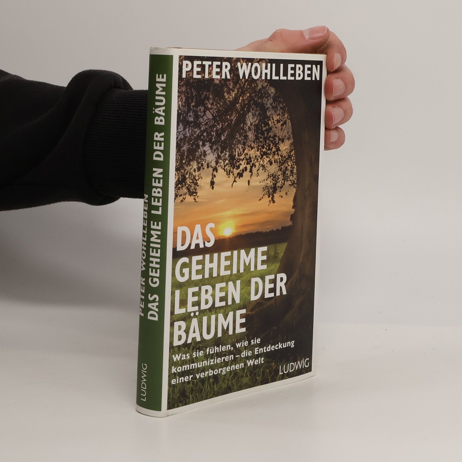 Peter Wohlleben Das geheime Leben der Bäume