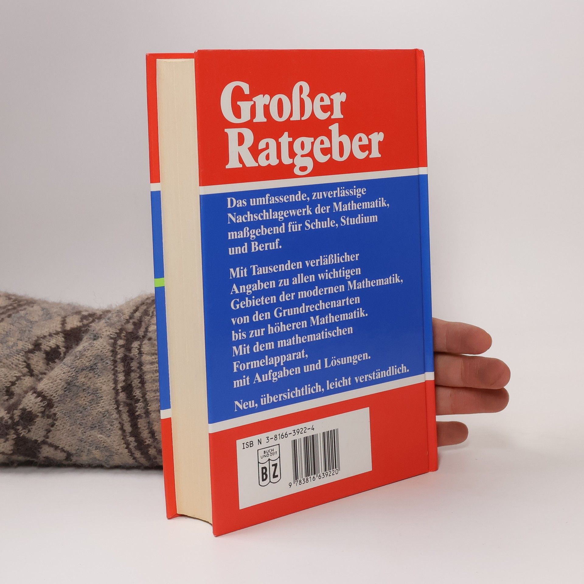 Kolektiv autorů Großer Ratgeber. Mathematik