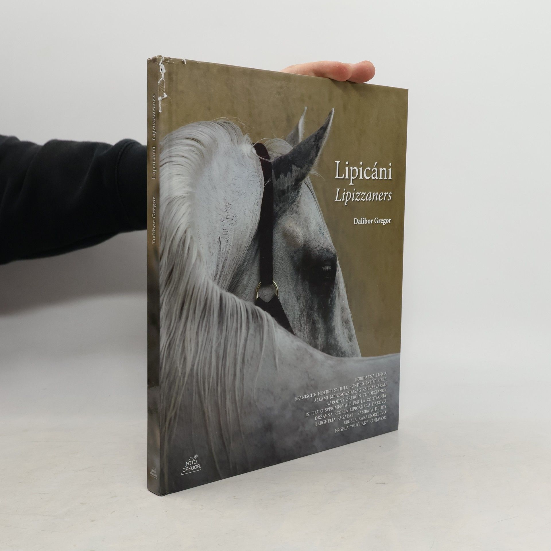 Dalibor Gregor Lipicáni