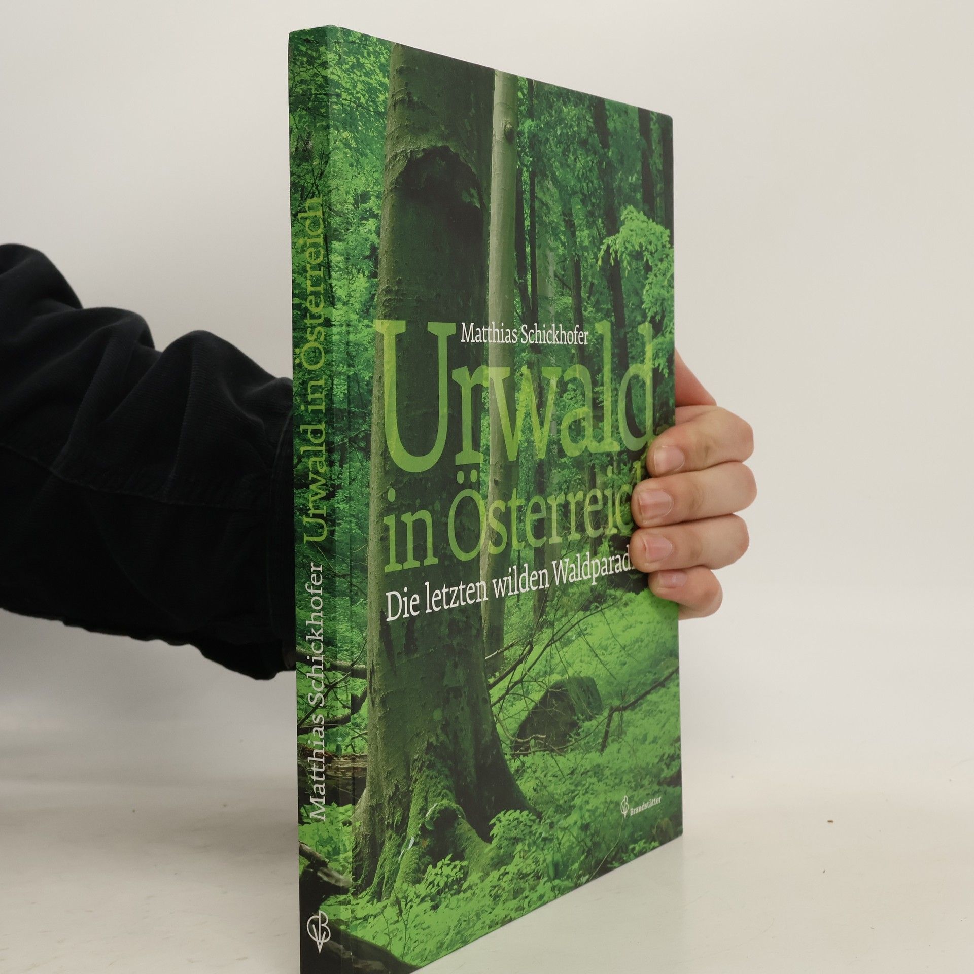Matthias Schickhofer Urwald in Österreich