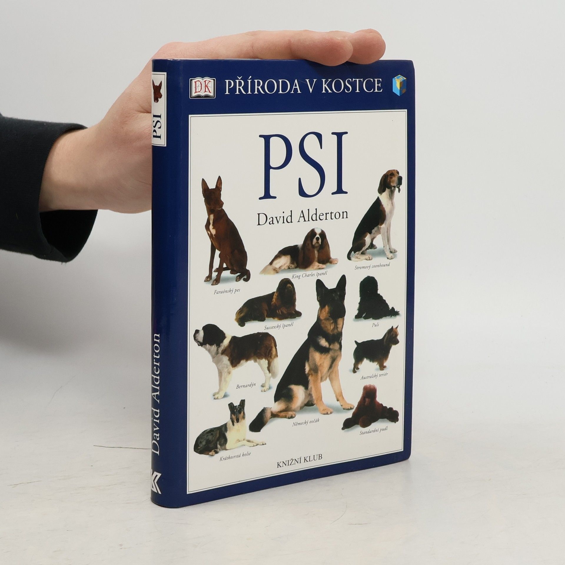 Psi