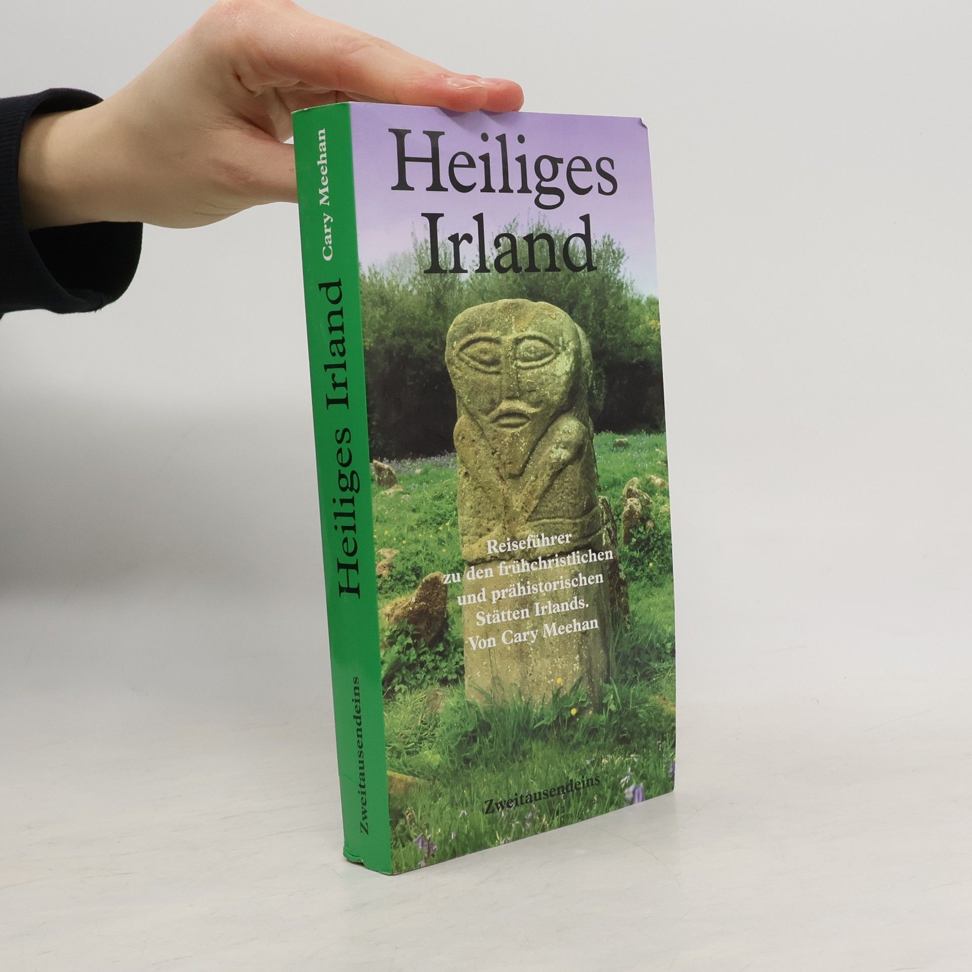 Cary Meehan Heiliges Irland