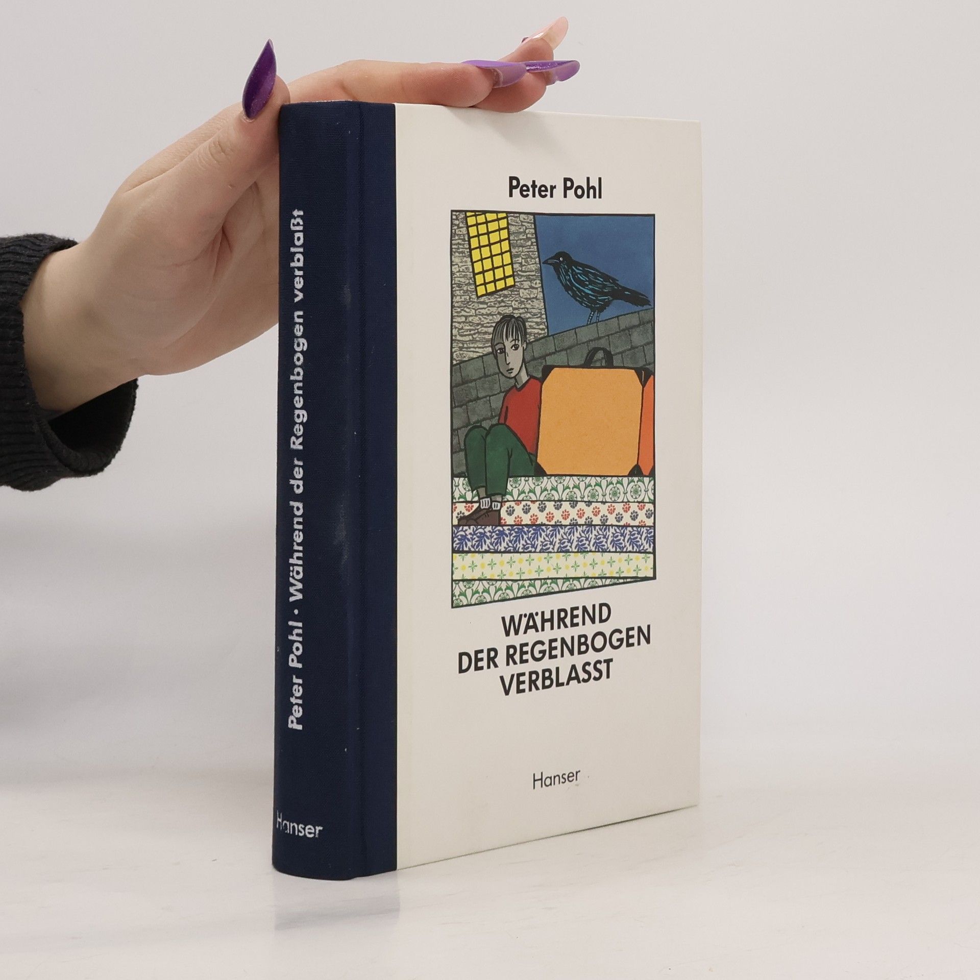 Peter Pohl Während der Regenbogen verblasst