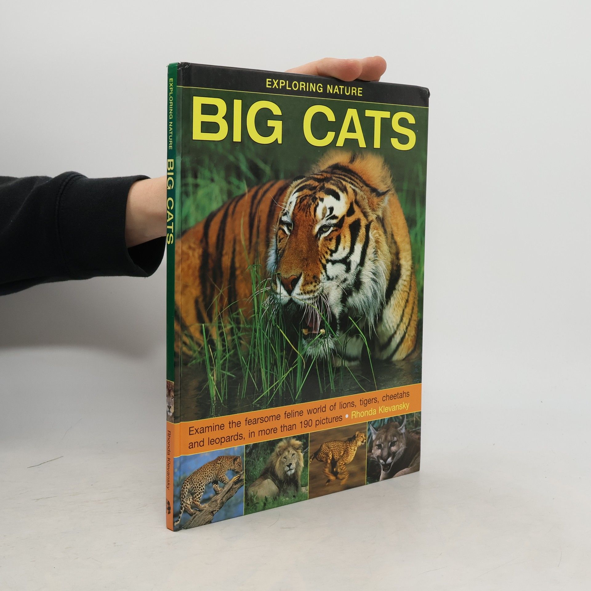 Rhonda Klevansky Exploring Nature: Big Cats