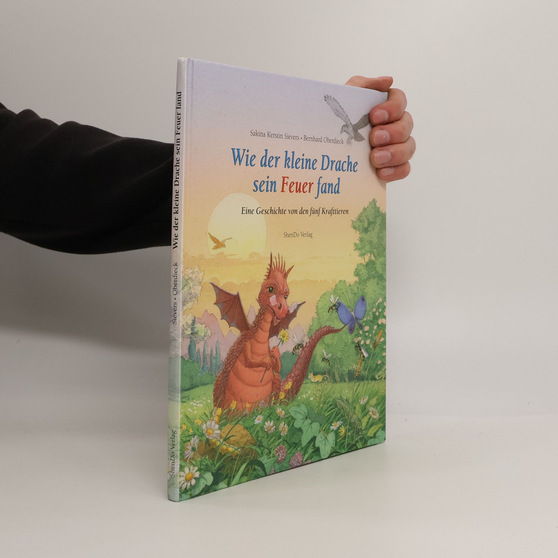 Sakina Kerstin Sievers Wie der kleine Drache sein Feuer fand