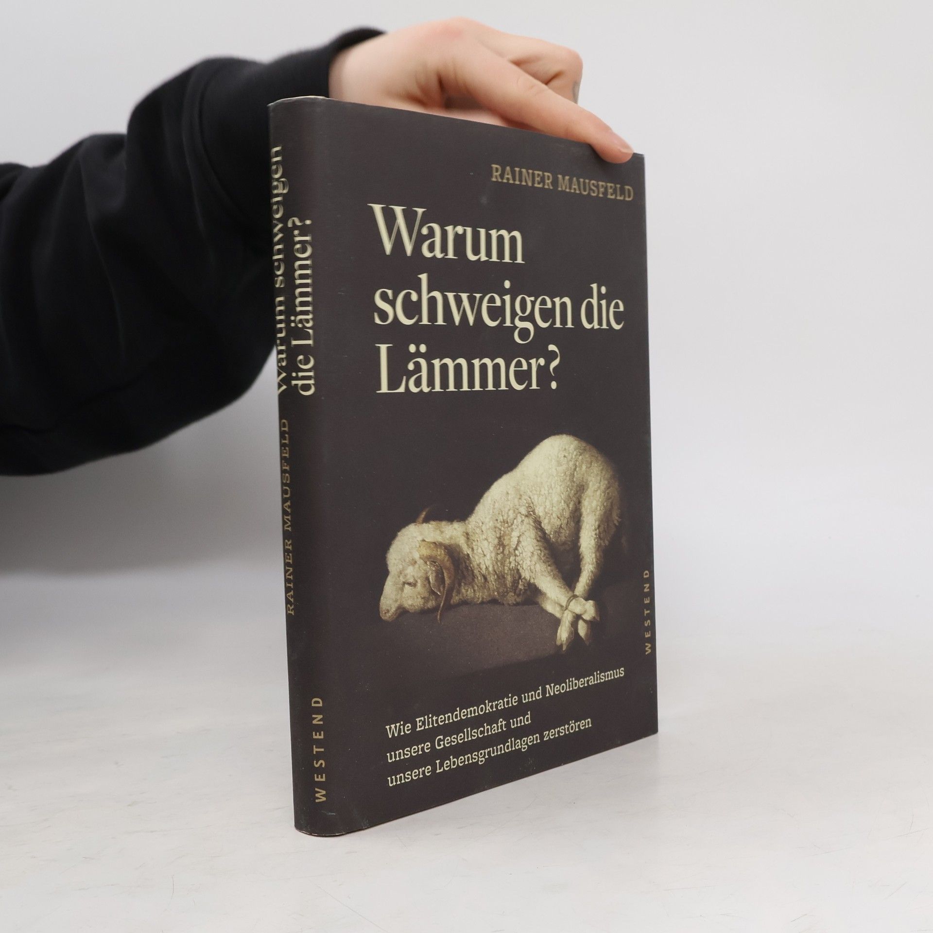 Rainer Mausfeld Warum schweigen die Lämmer?