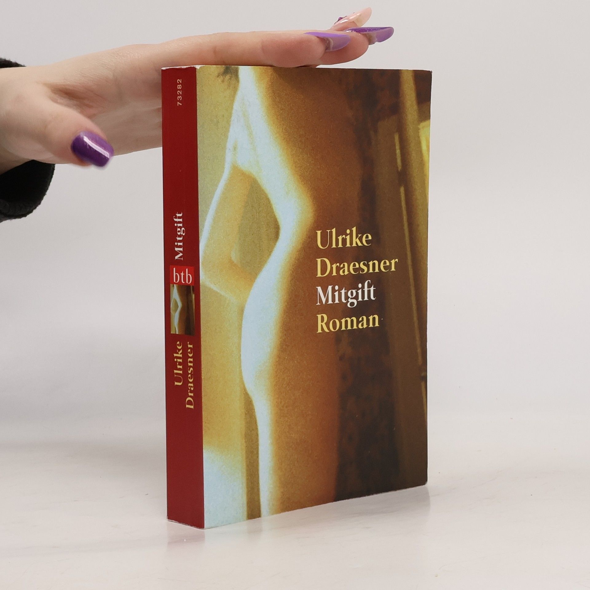 Ulrike Draesner Mitgift