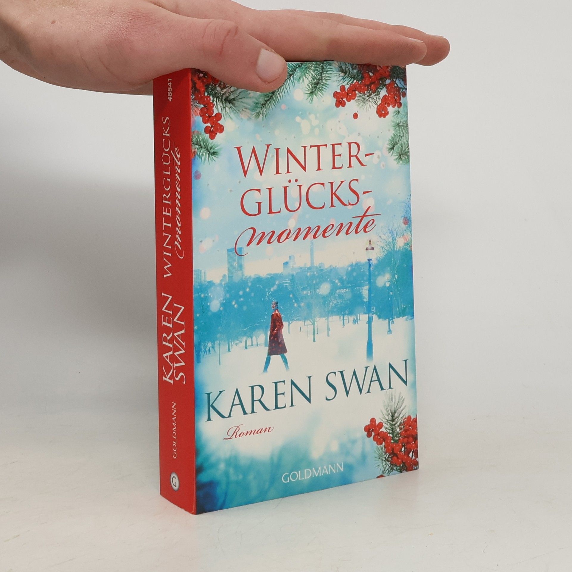 Karen Swan Winterglücksmomente