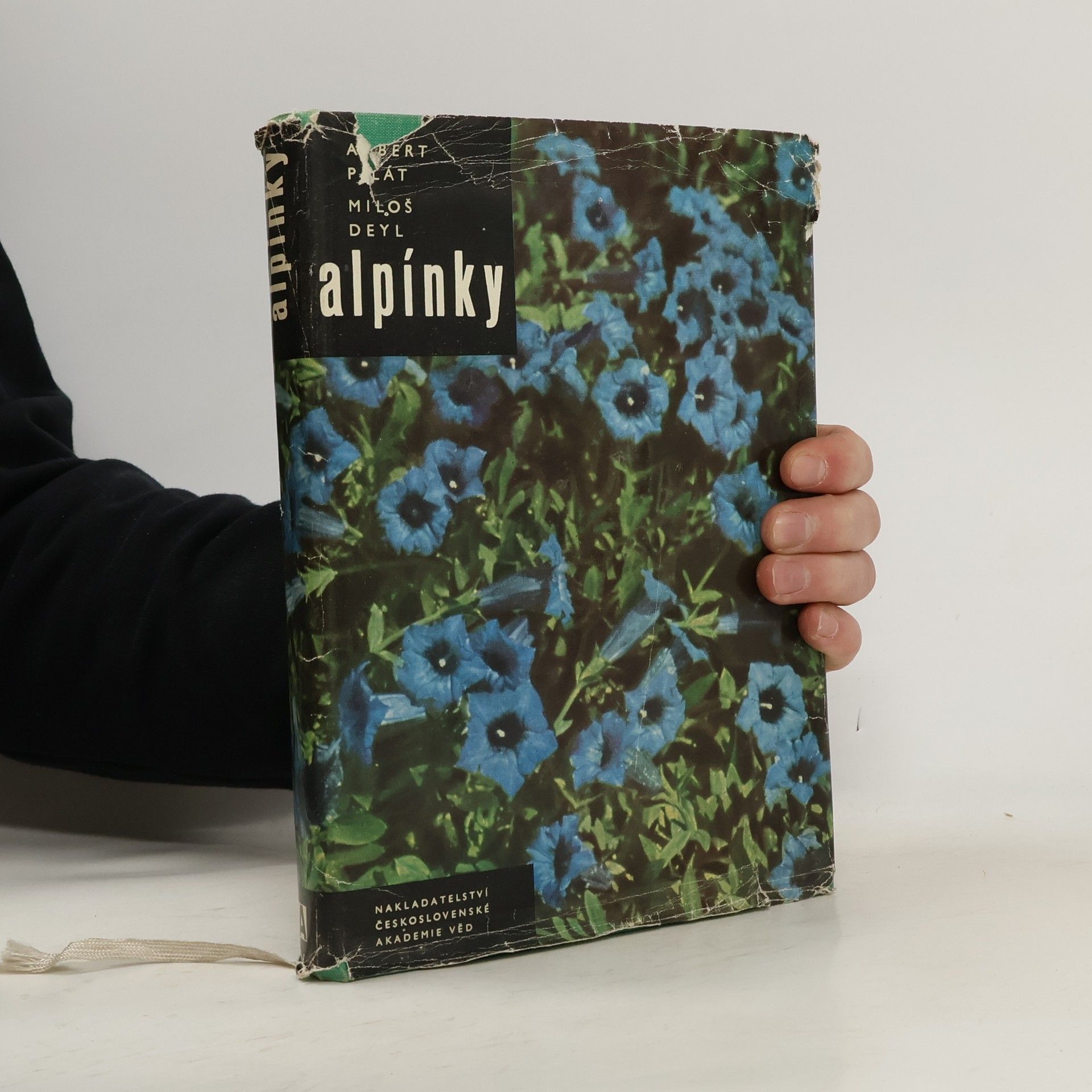 Albert Pilát Alpínky