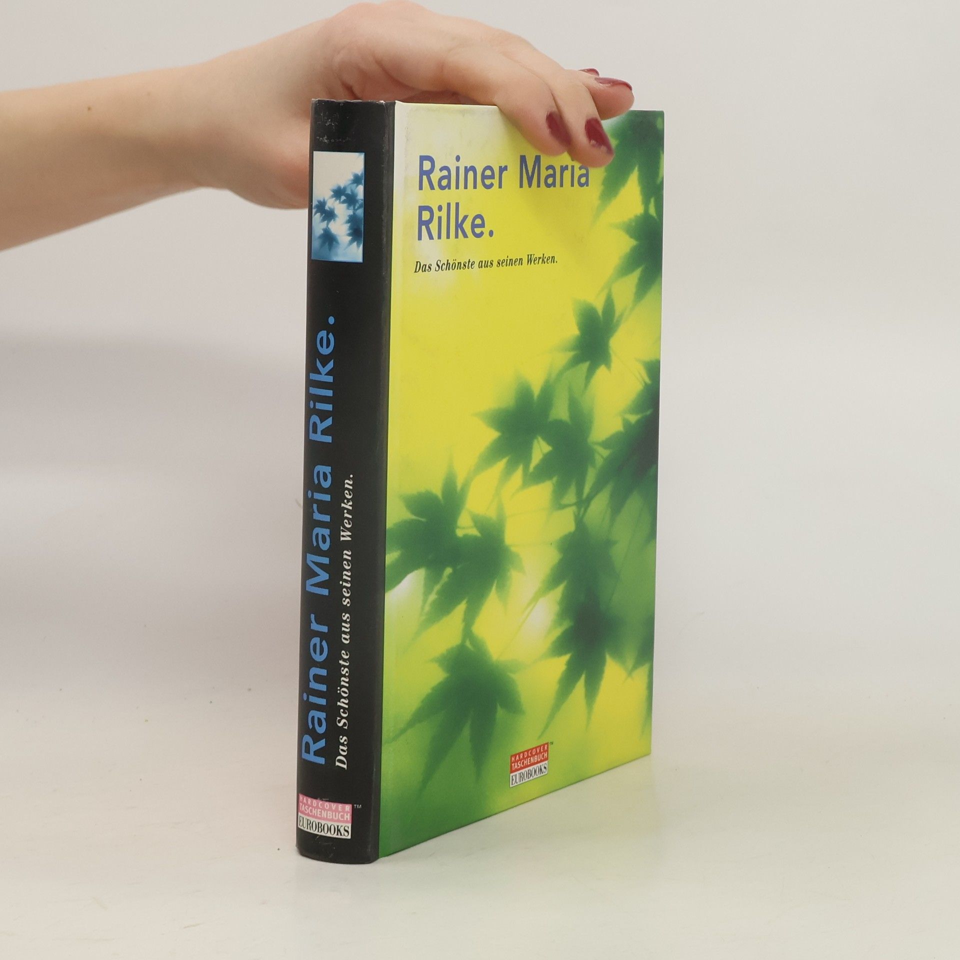 Rainer Maria Rilke Das Schönste aus seinen Werken