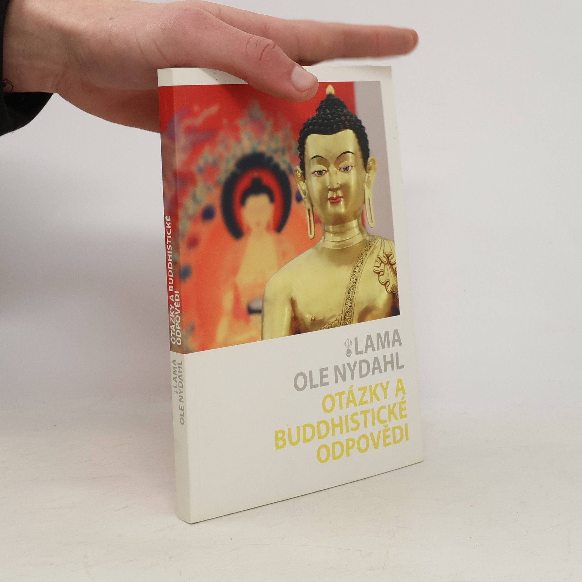Ole Nydahl Otázky a buddhistické odpovědi