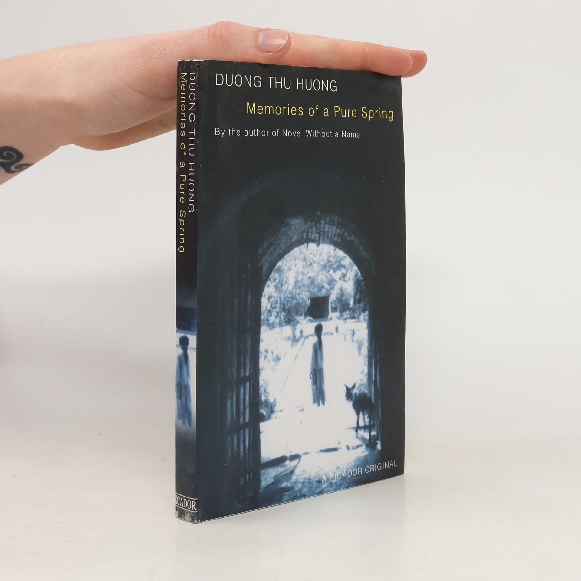 Dương Thu Hương Memories of a Pure Spring
