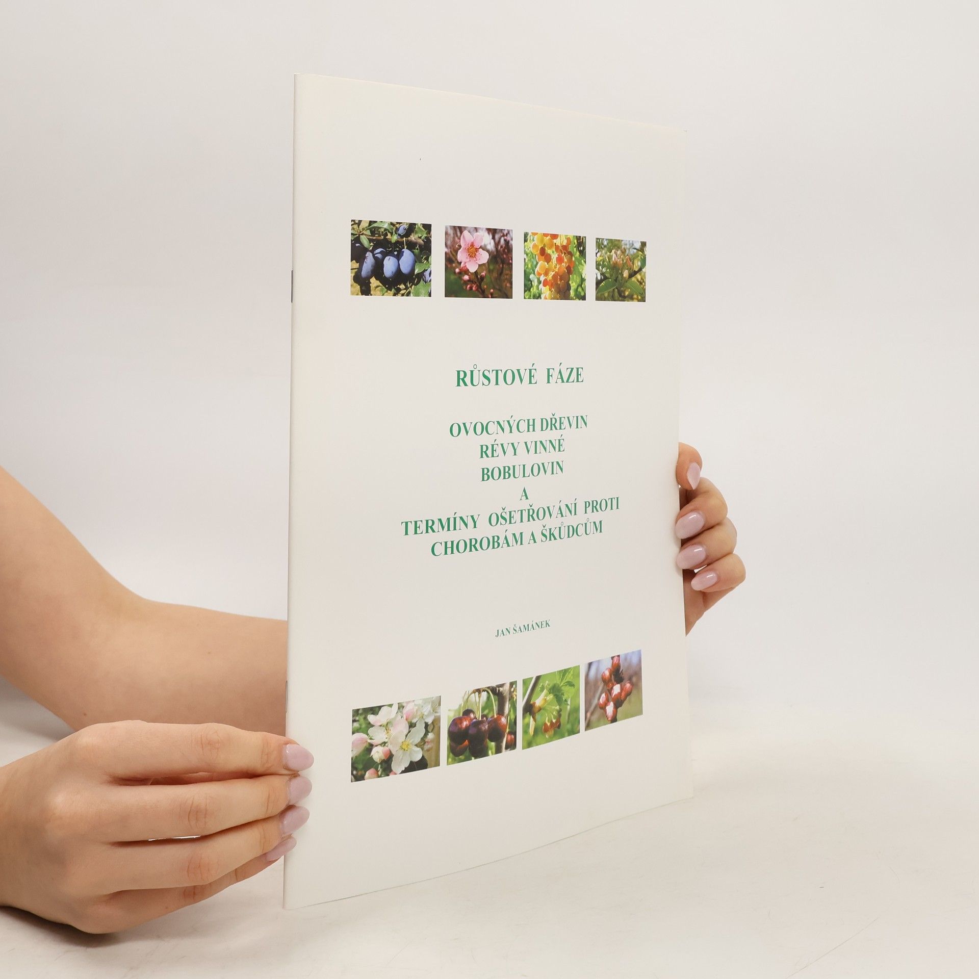 Jan Šamánek Růstové fáze ovocných dřevin, révy vinné, bobulovin a termíny ošetřování proti chorobám a škůdcům