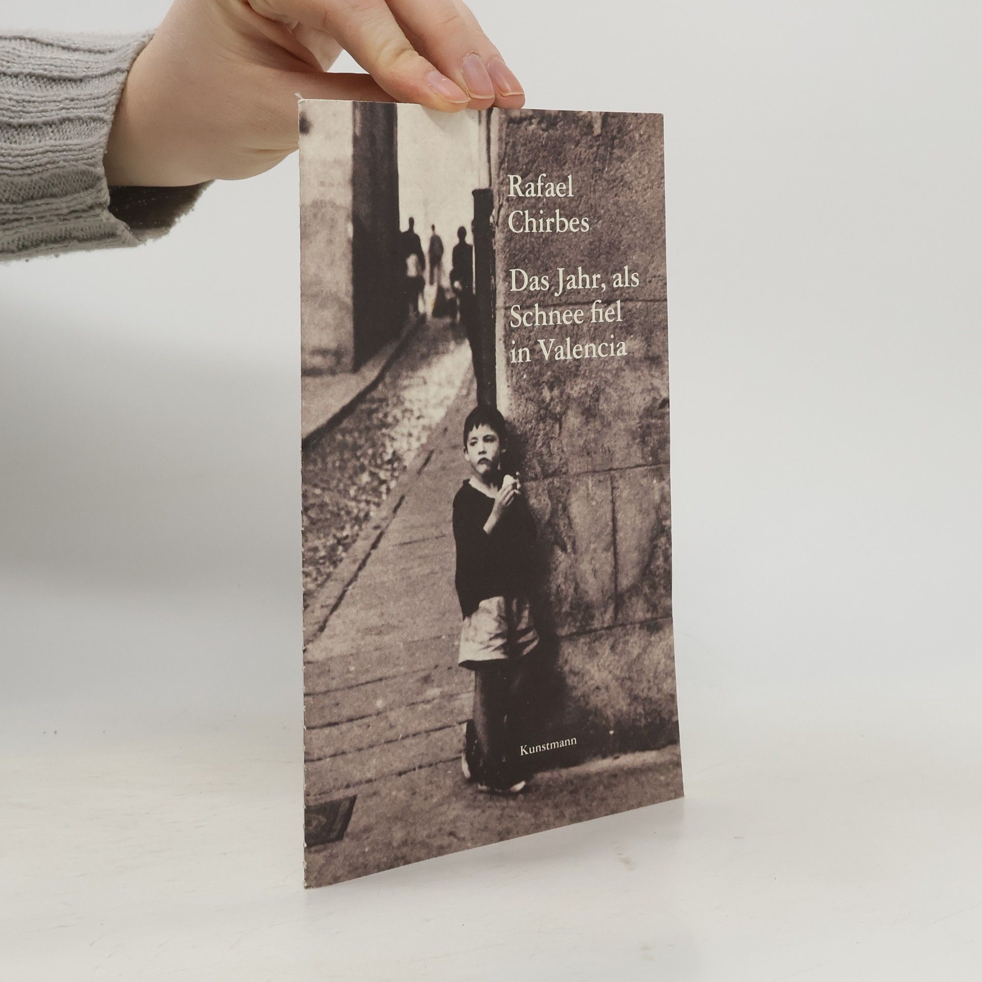 Rafael Chirbes Das Jahr, als Schnee fiel in Valencia