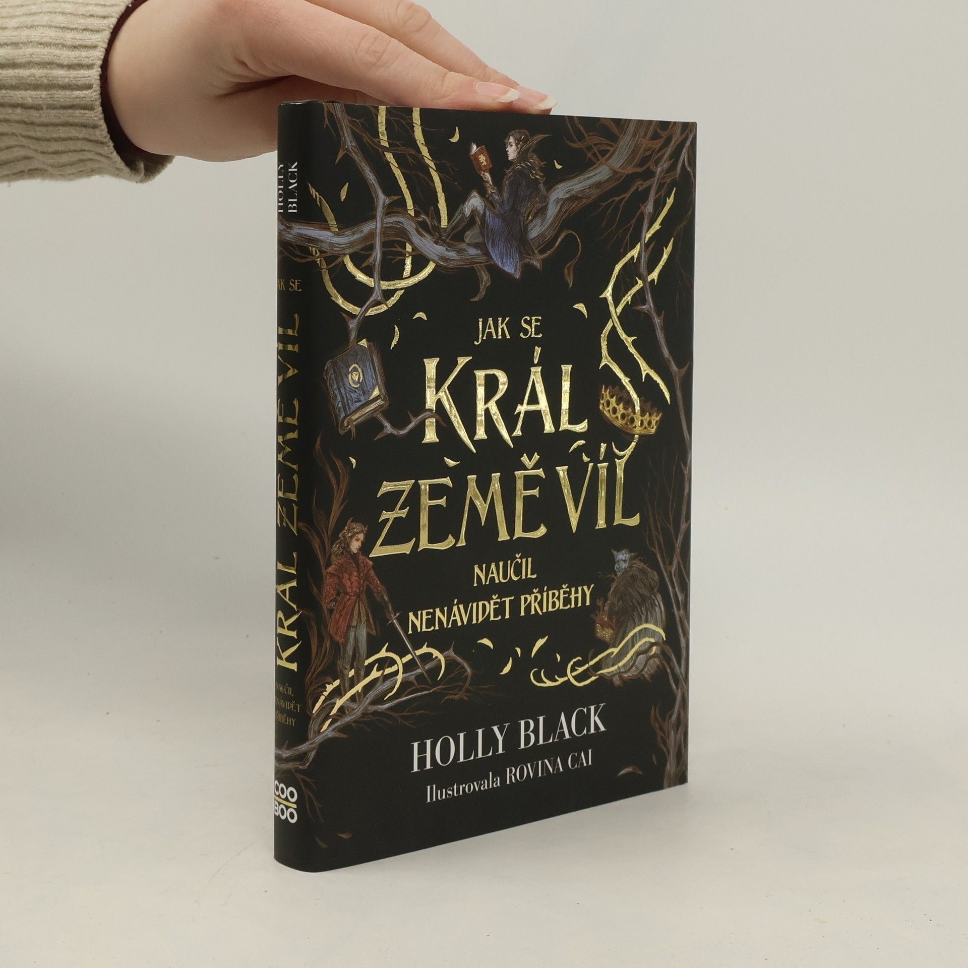 Holly Black Jak se král Země víl naučil nenávidět příběhy