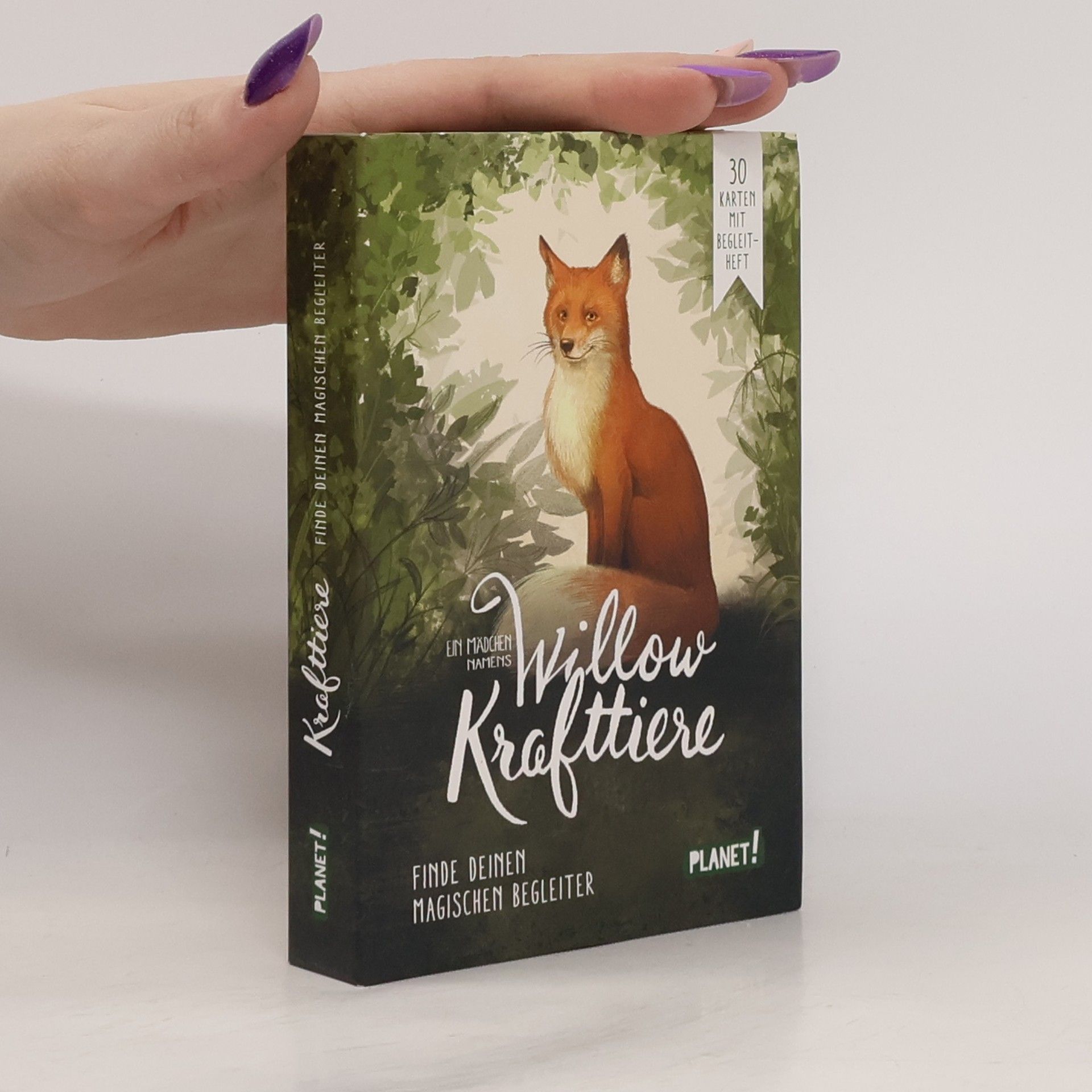 Sabine Bohlmann Ein Mädchen namens Willow: Krafttiere