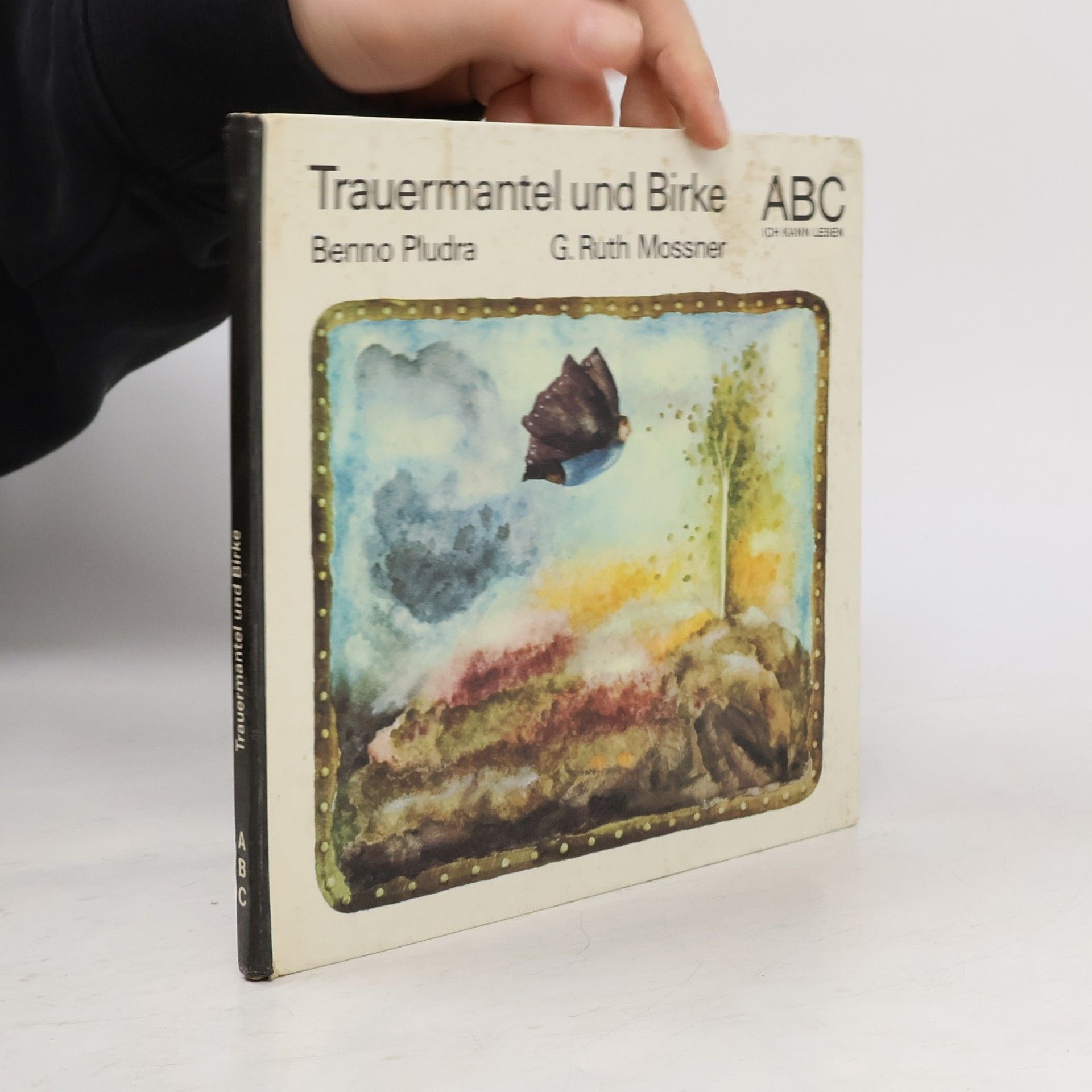 Trauermantel und Birke