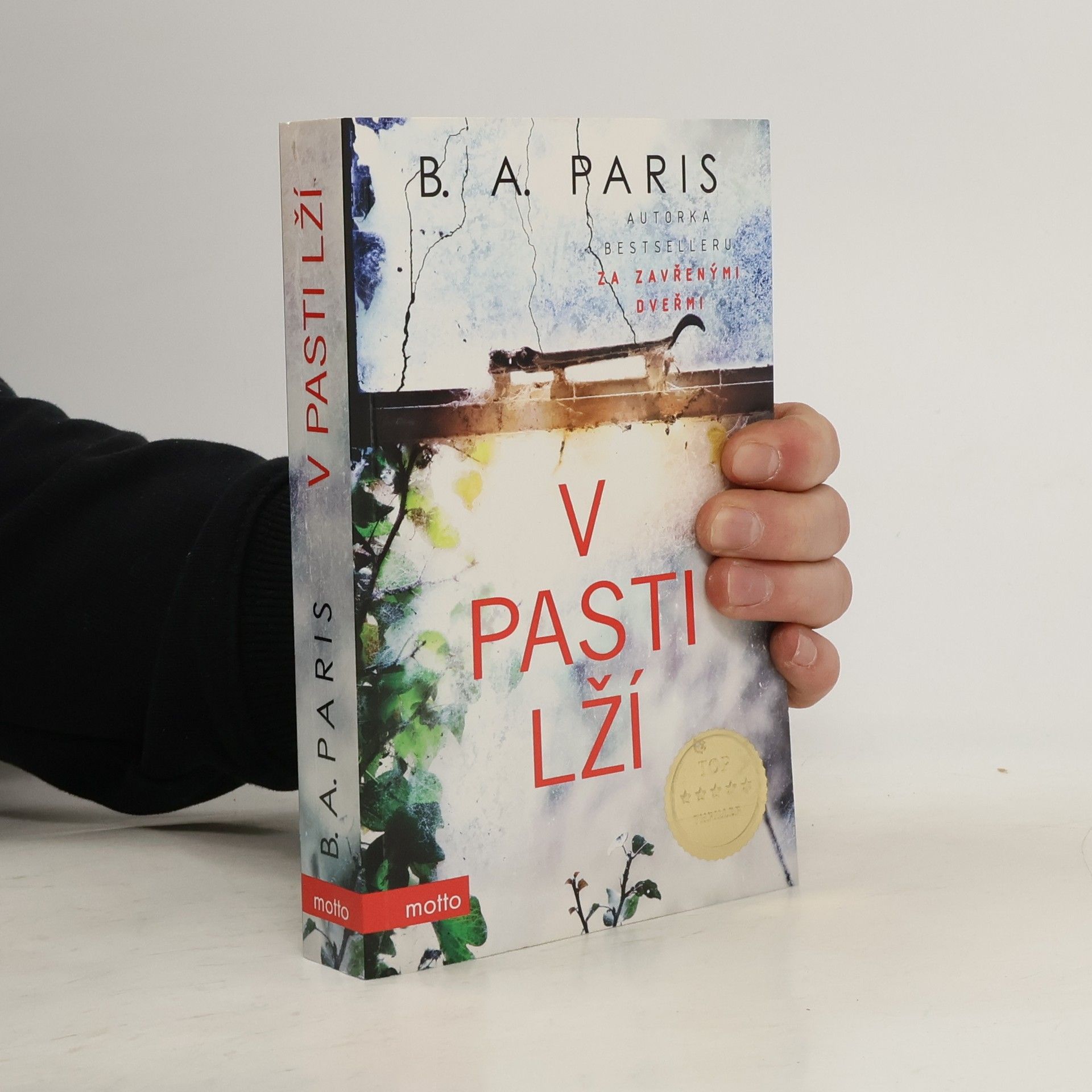 B.A. Paris V pasti lží