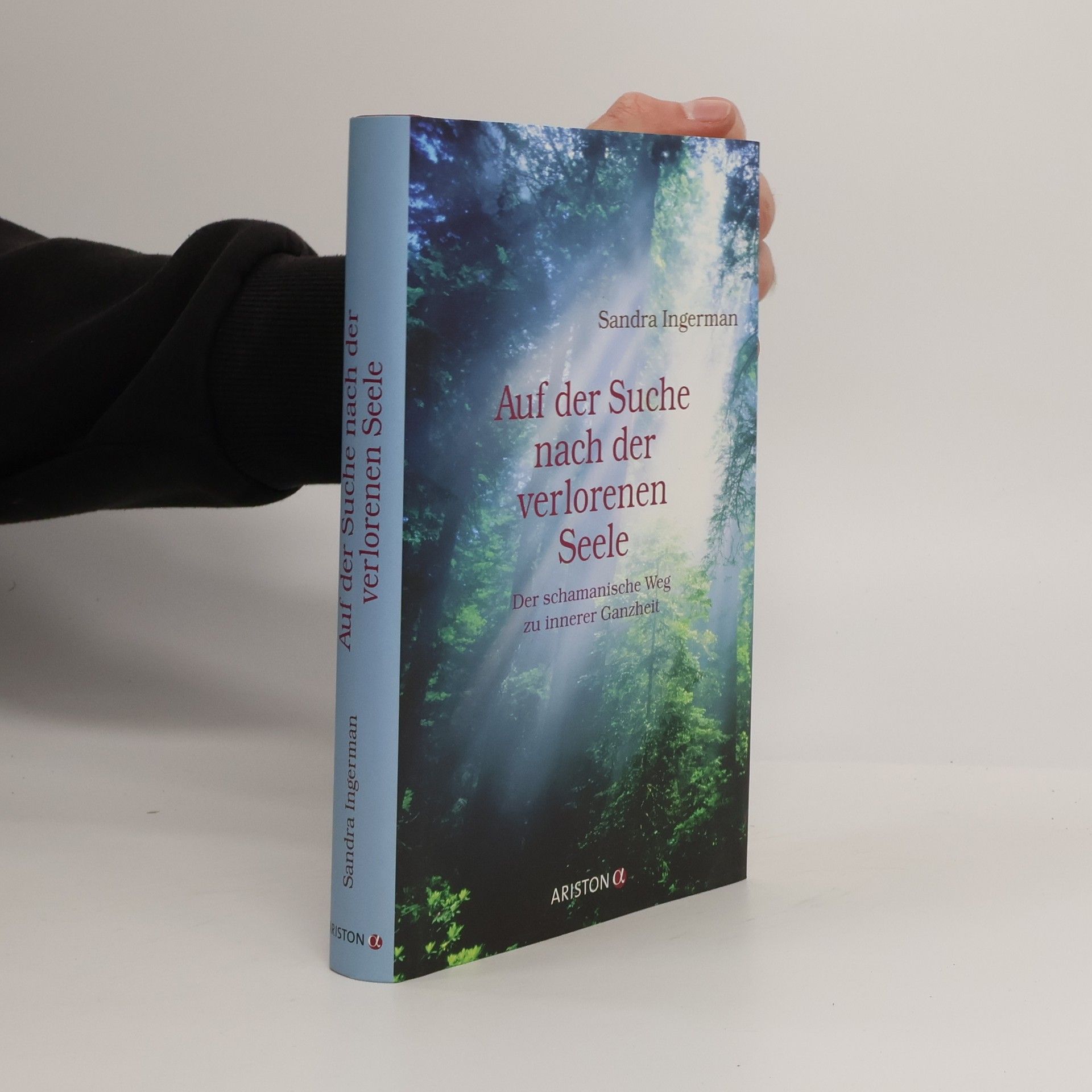 Sandra Ingerman Auf der Suche nach der verlorenen Seele