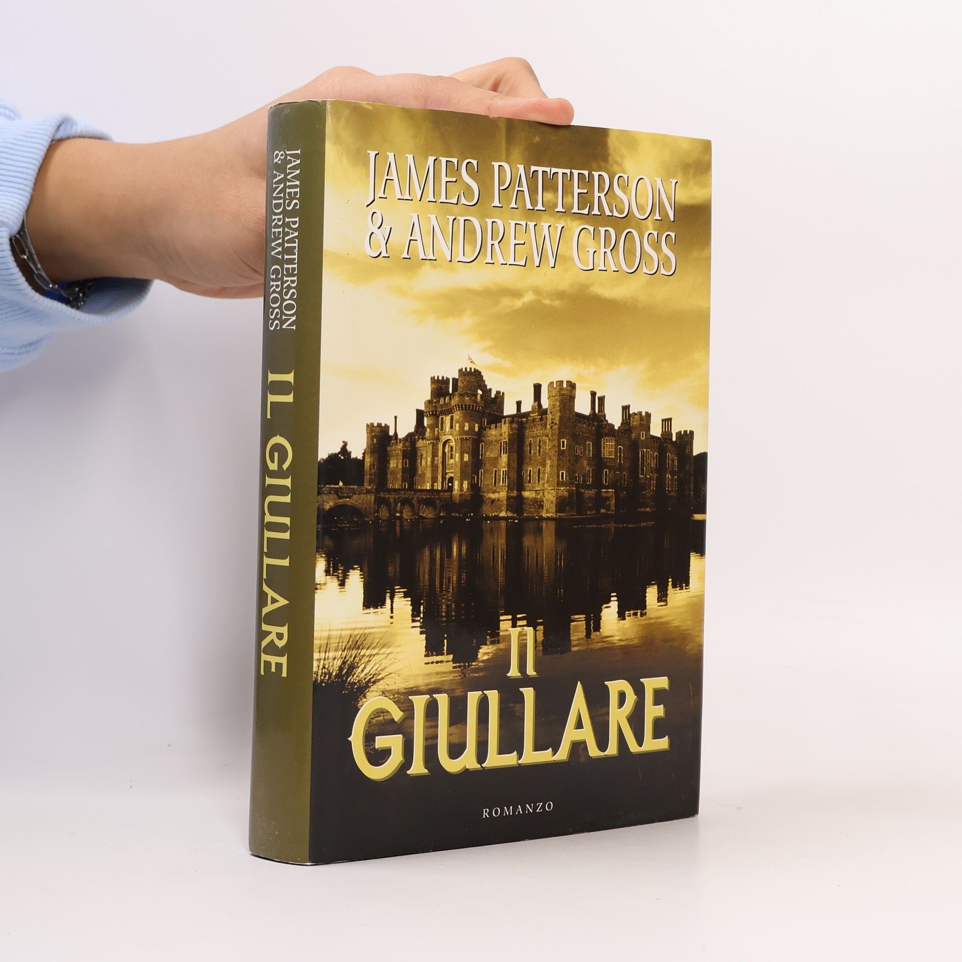 Andrew Gross Il Giullare