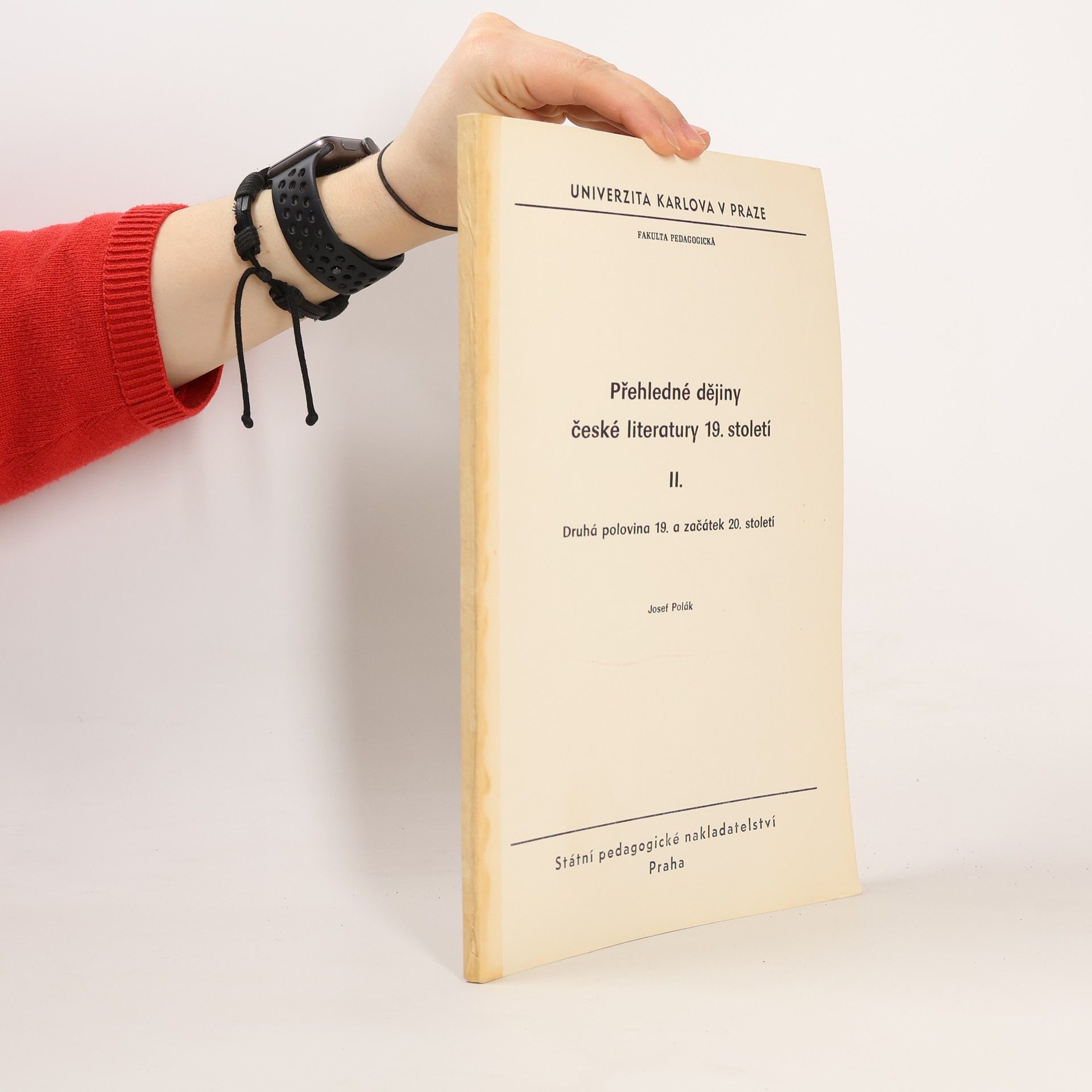 Josef Polák Přehledné dějiny české literatury 19. století II