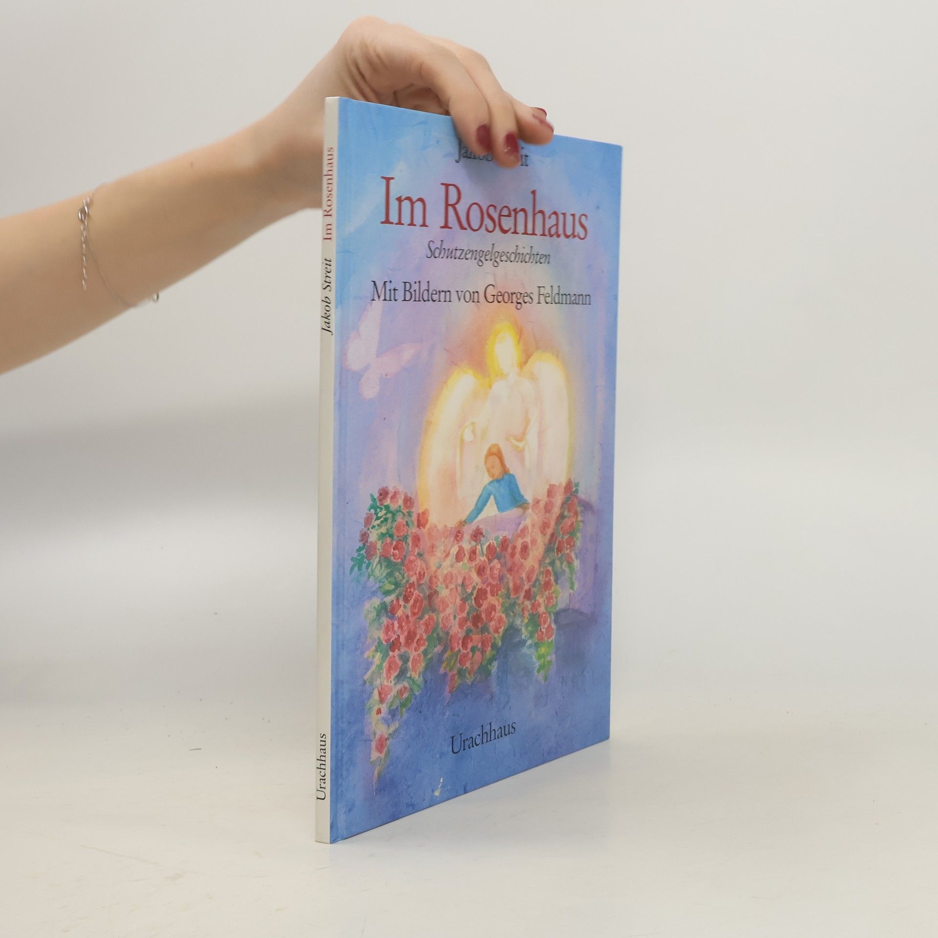 Jakob Streit Im Rosenhaus. Schutzengelgeschichten