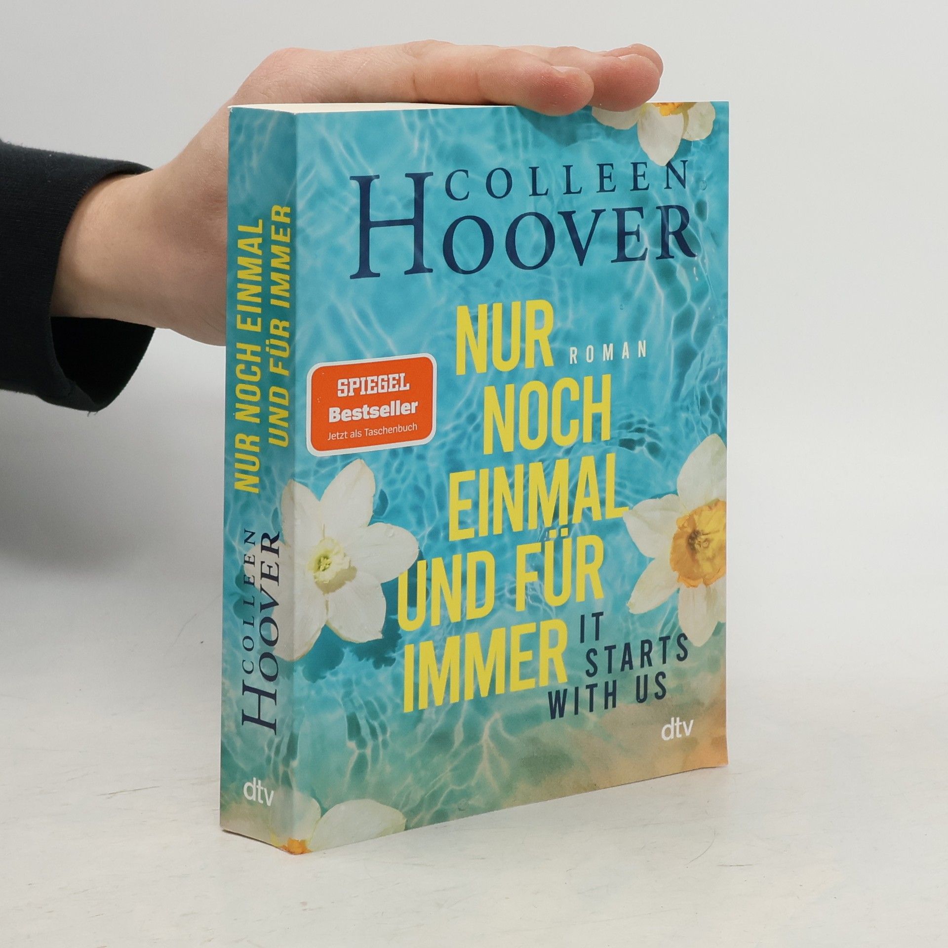 Colleen Hoover Nur noch einmal und für immer