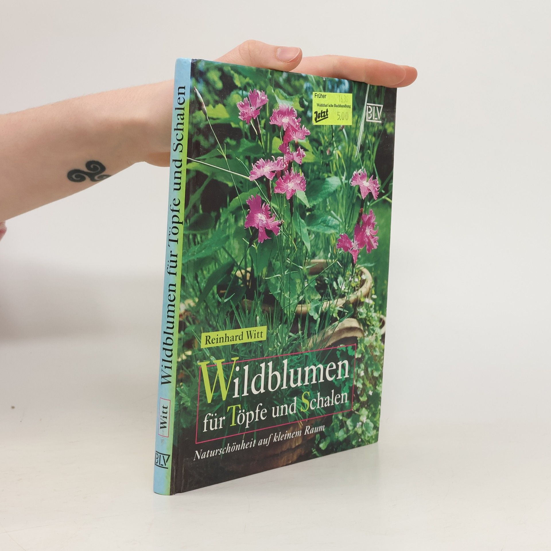 Reinhard Witt Wildblumen für Töpfe und Schalen