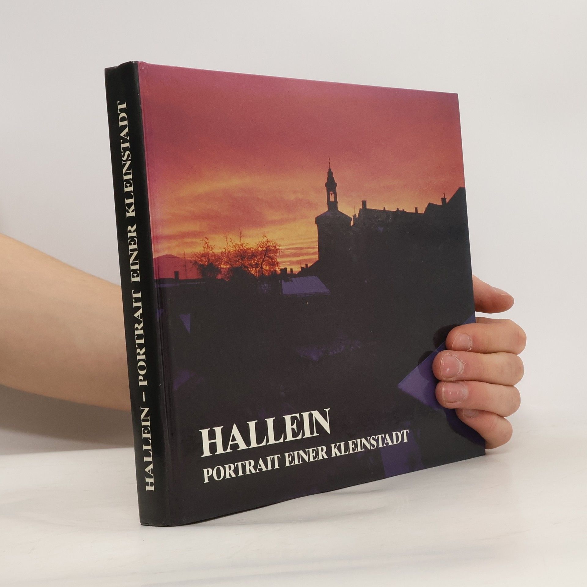 Fritz Moosleitner Hallein - Portrait einer Kleinstadt