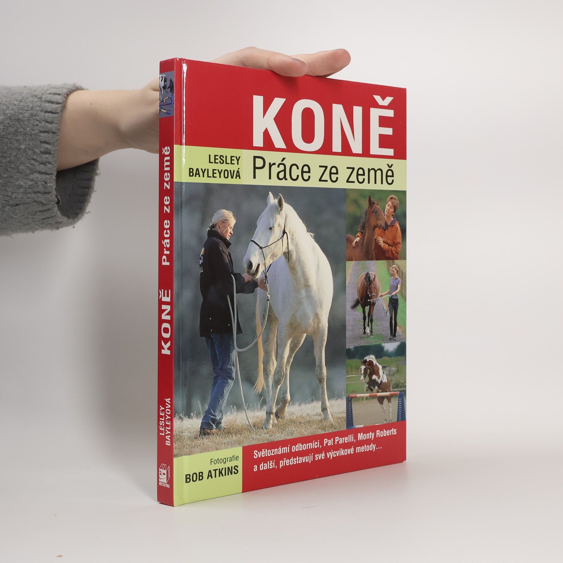 Koně. Práce ze země