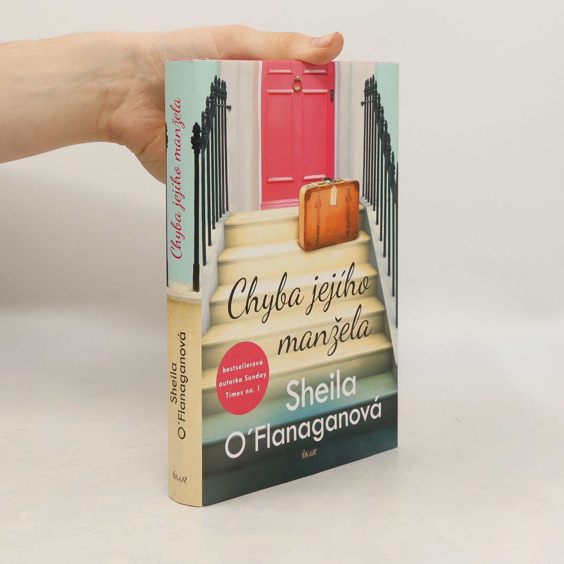 Sheila O’Flanagan Chyba jejího manžela