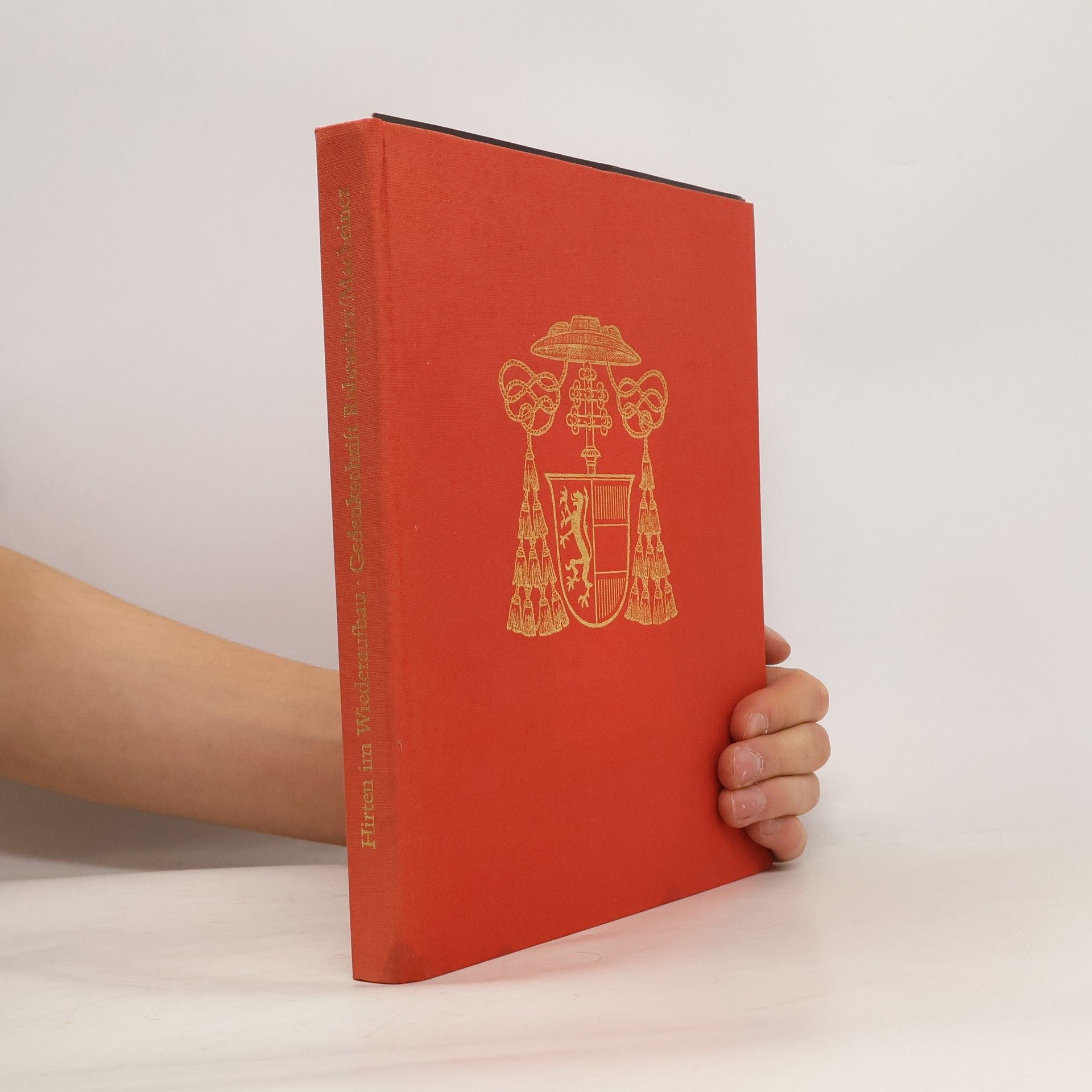 Hans Spatzenegger Hirten im Wiederaufbau