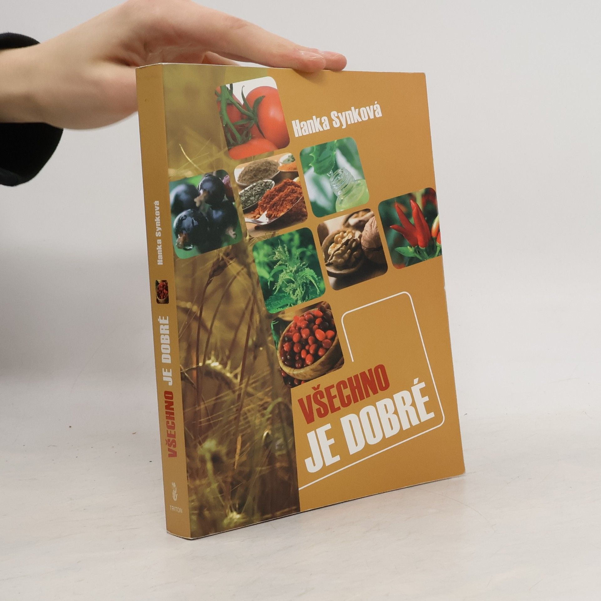 Hana Synková Všechno je dobré