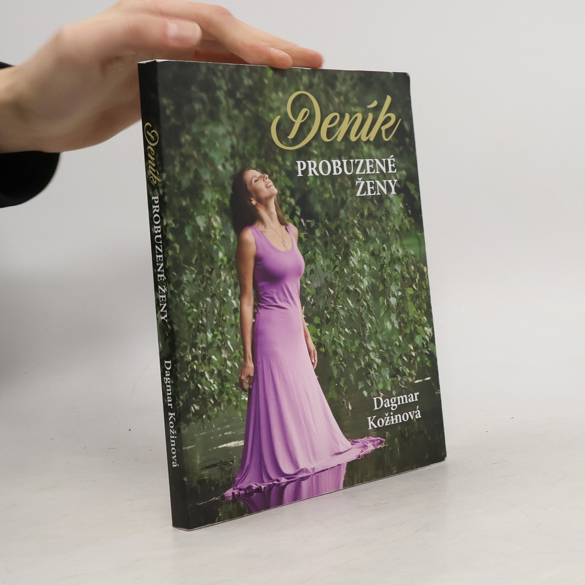 Dagmar Kožinová Deník probuzené ženy