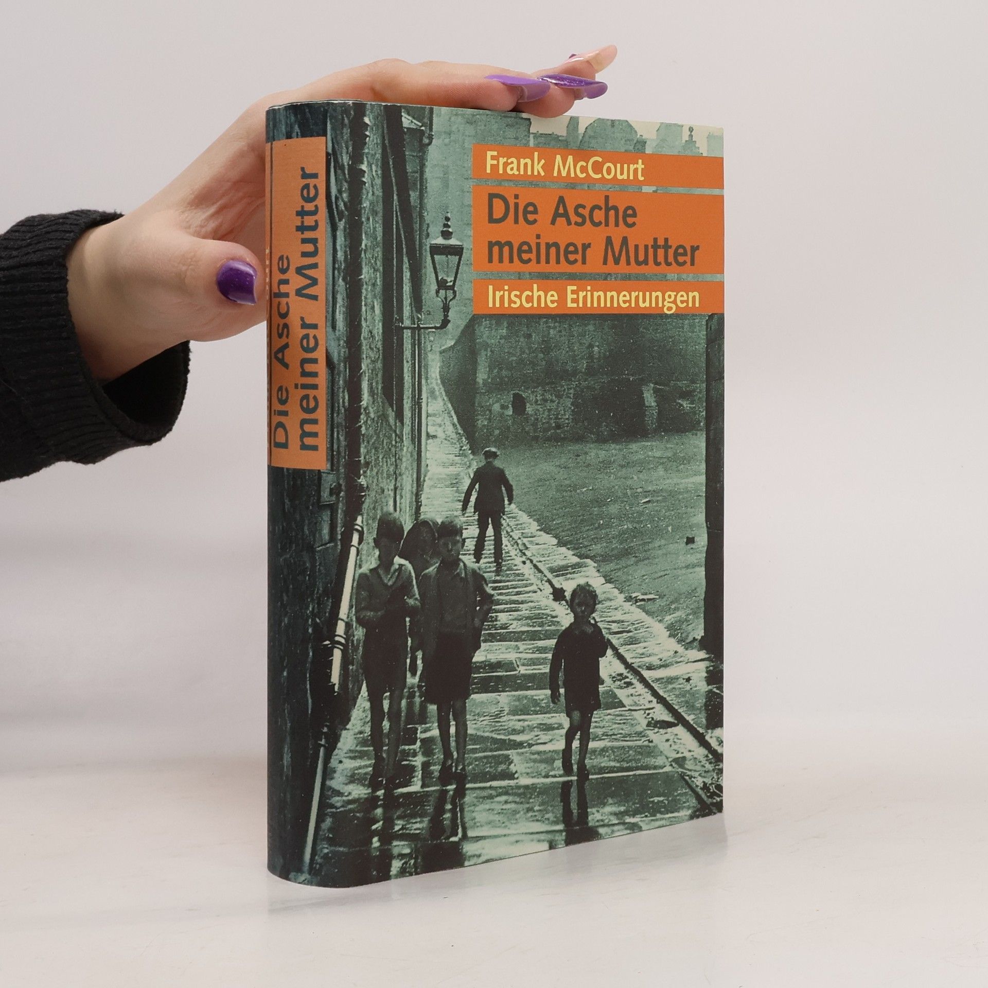 Frank McCourt Die Asche meiner Mutter