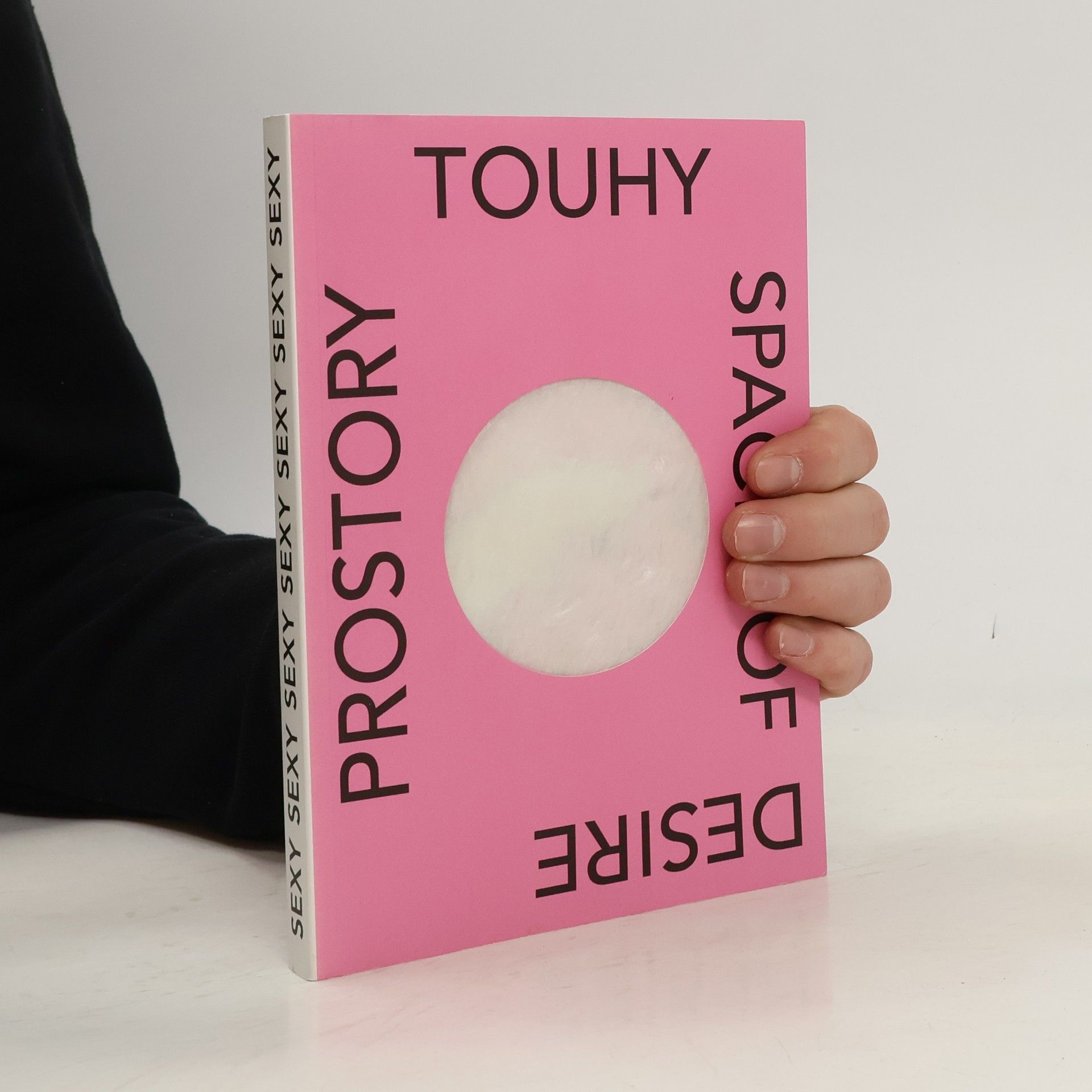 Ladislav Zikmund Lender Prostory touhy : je architektura sexy? = Spaces of desire : is architecture sexy?