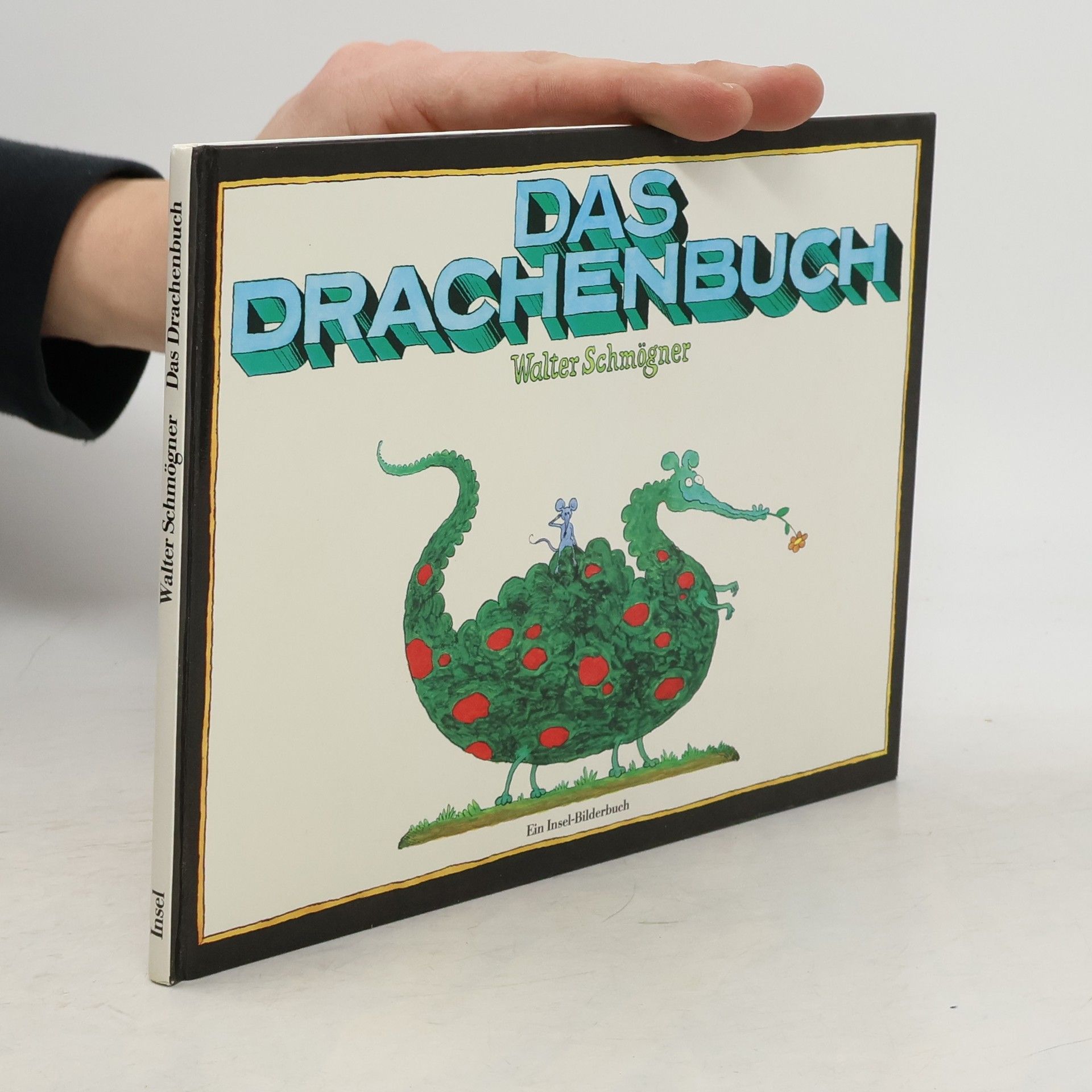 Walter Schmögner Das Drachenbuch