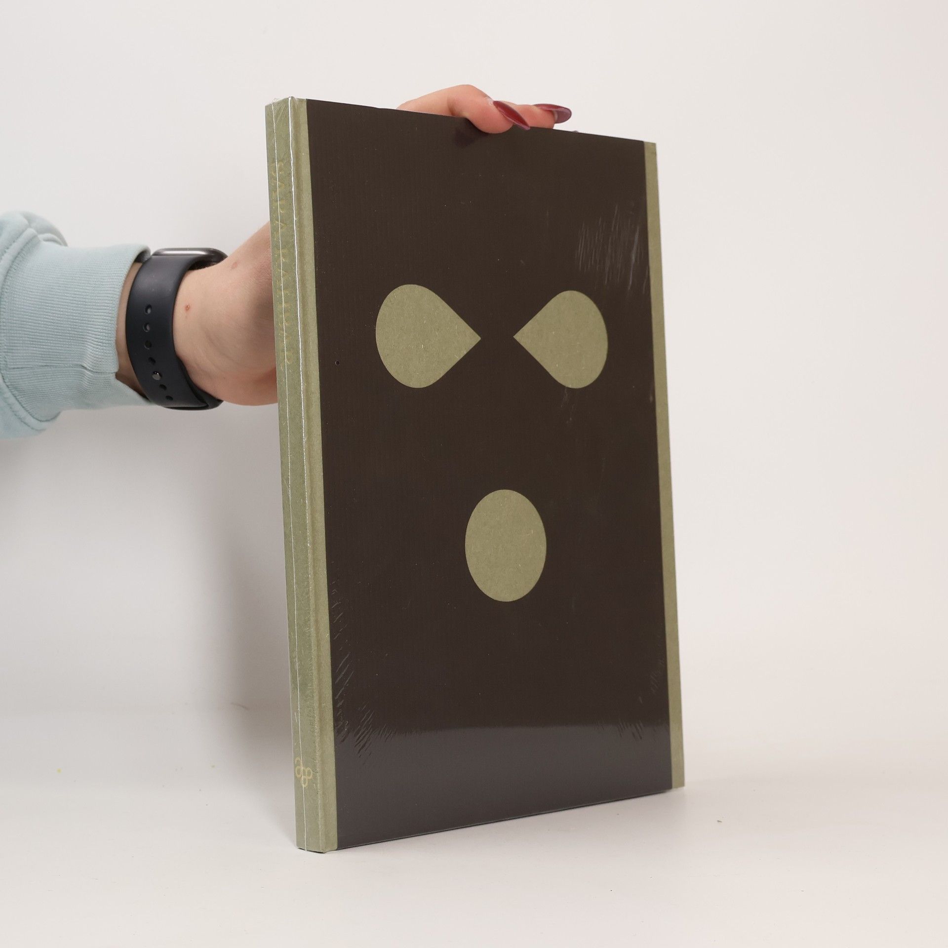 Sara Rahbar. I Have No Faith Left for the Devil to Take