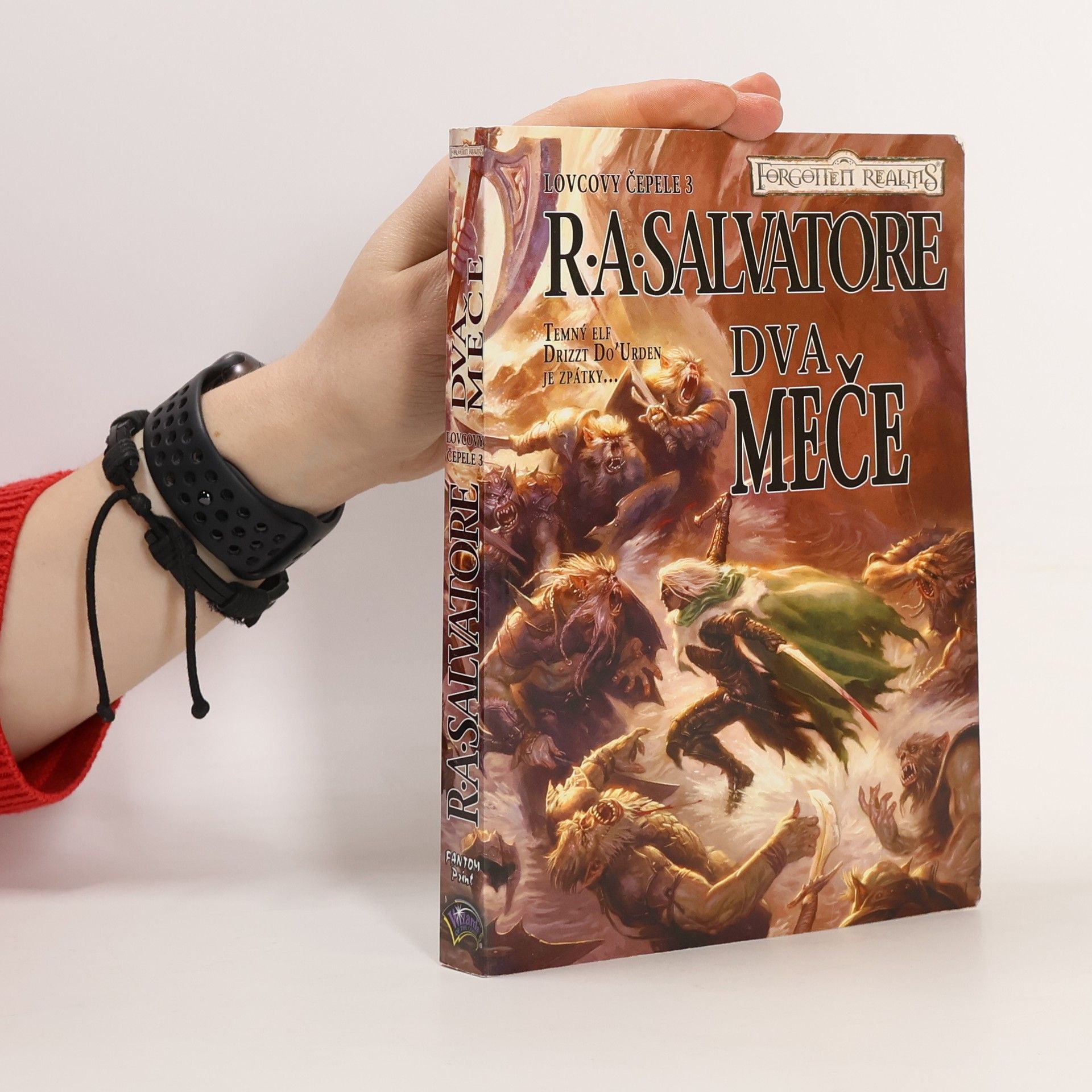 R. A. Salvatore Dva meče