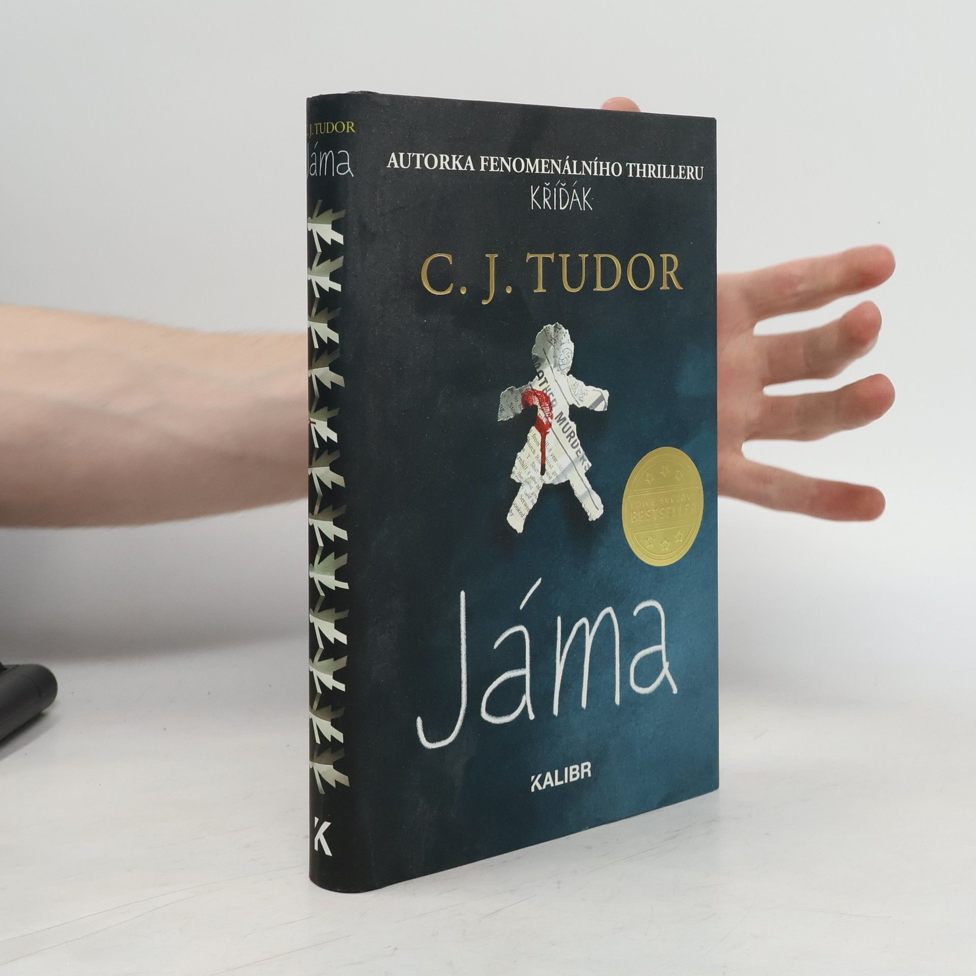 C. J. Tudor Jáma